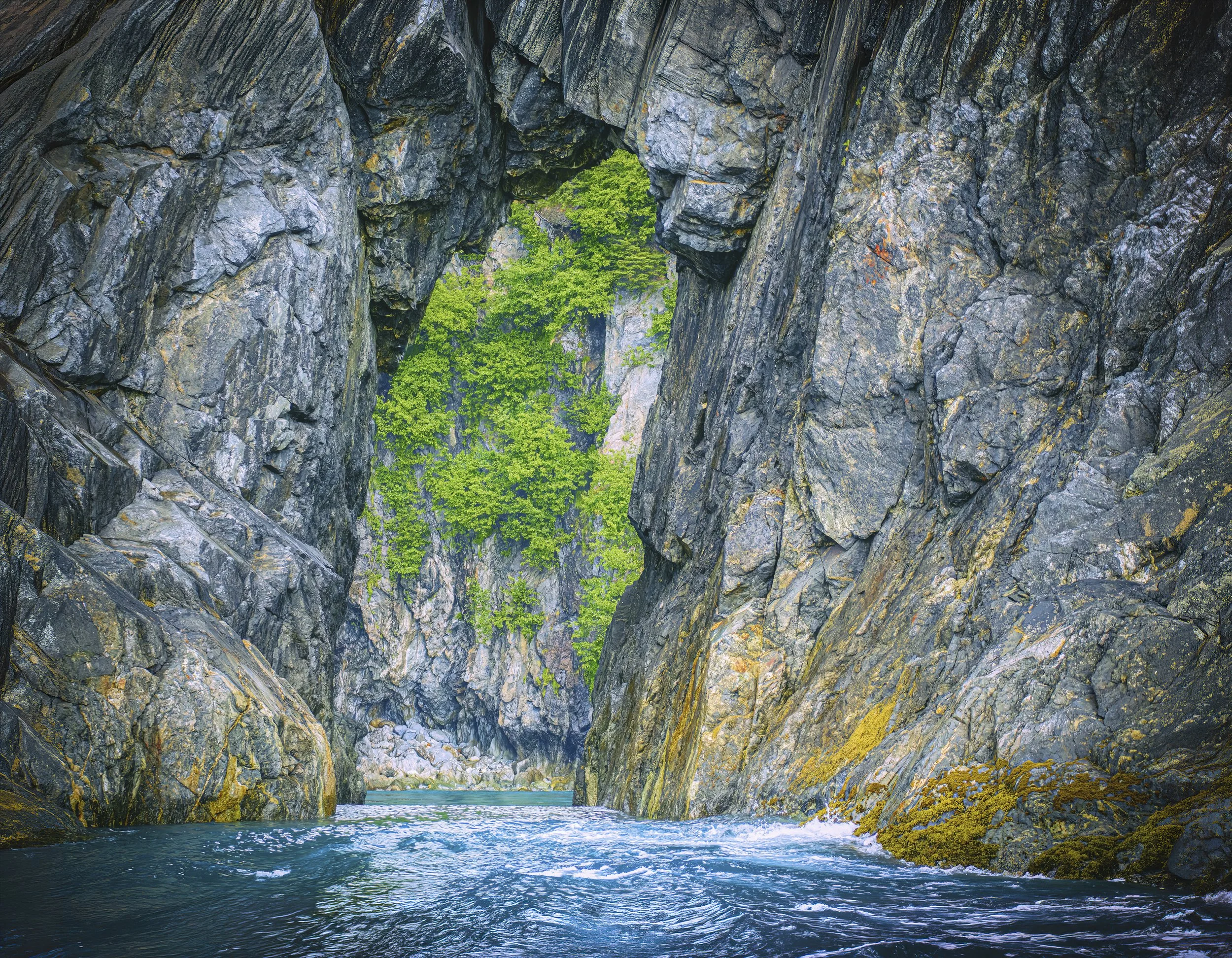 Zodiac cruising in Fern Harbor, Glacier Bay 