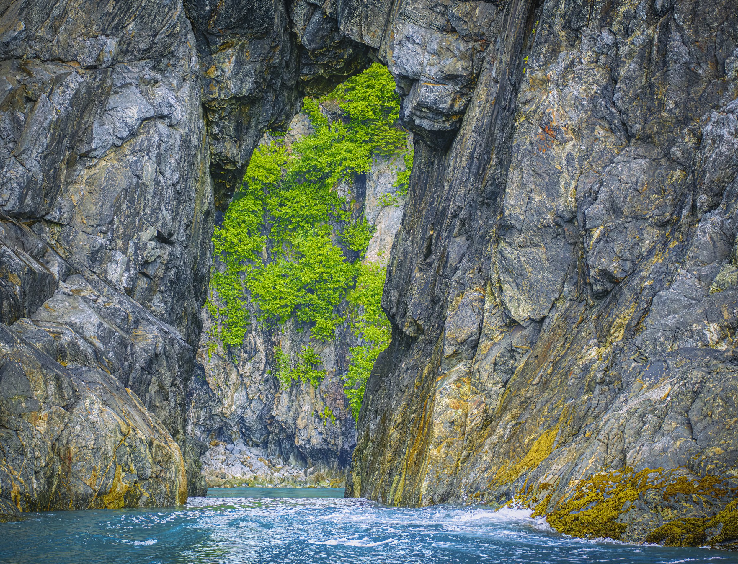 Zodiac cruising in Fern Harbor, Glacier Bay National Park