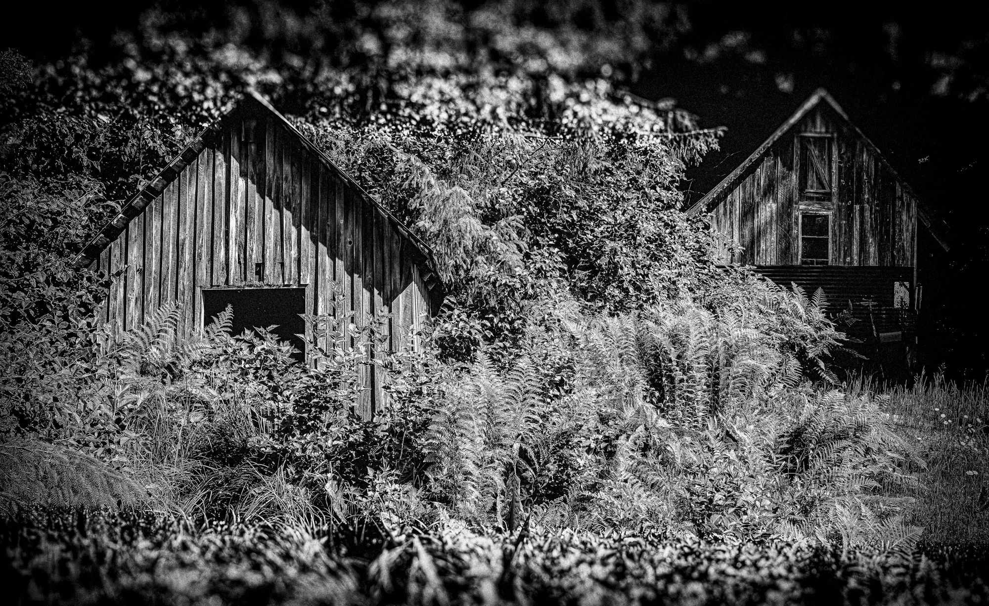 Yes, what would Petersburg be without a few black and whites:)