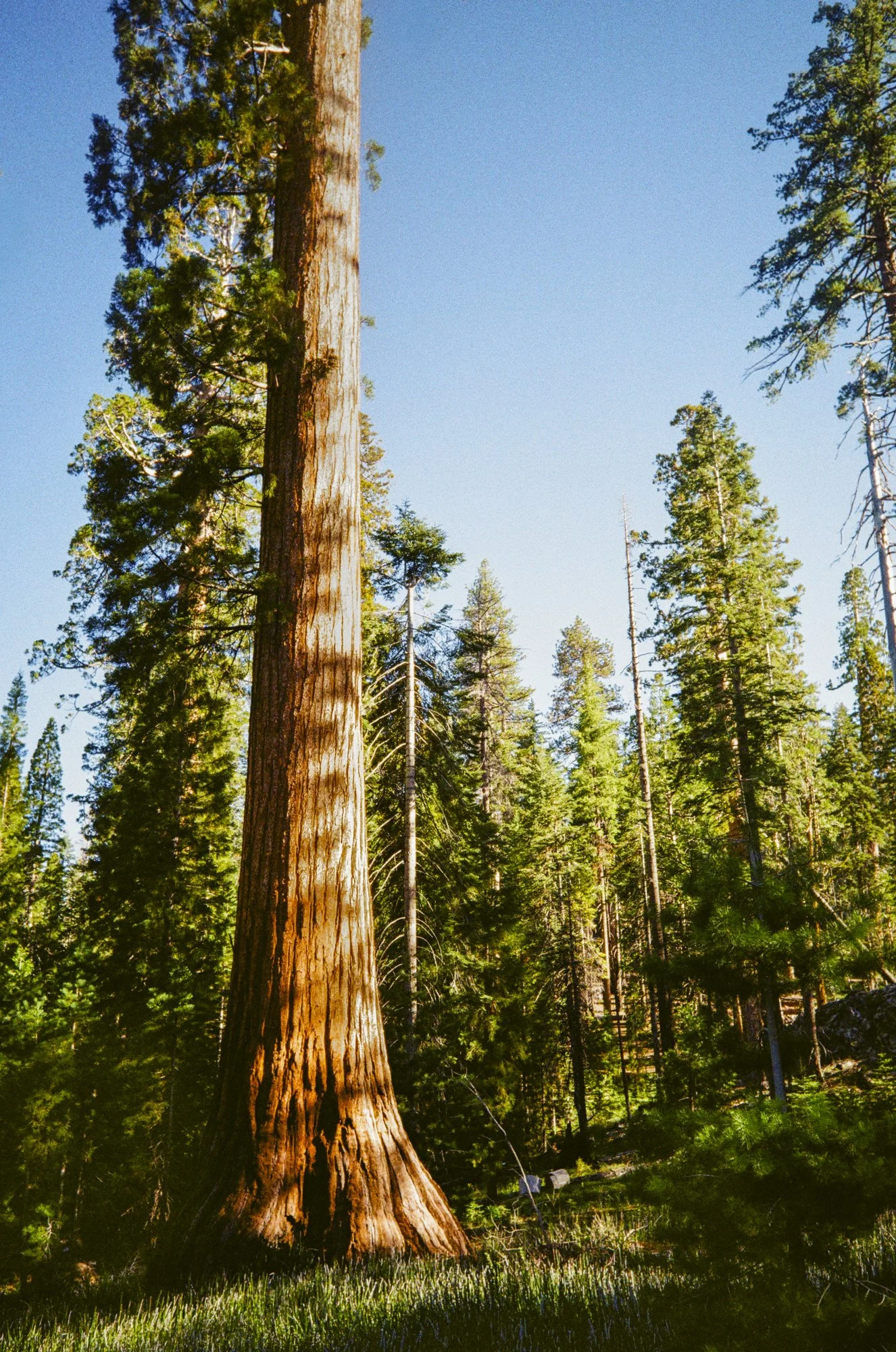 Yosemite