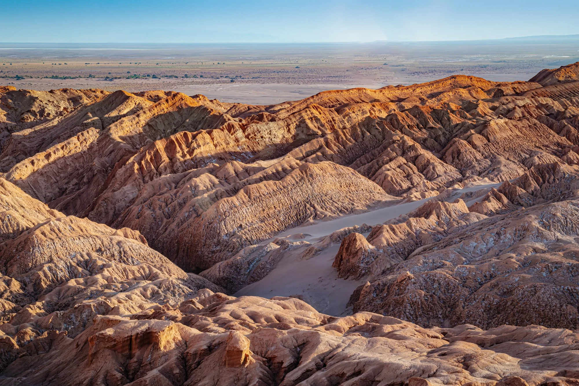 Atacama desert.  A close up view of the earth turned around on its side by the movement of tectonic plates, most active in this region.