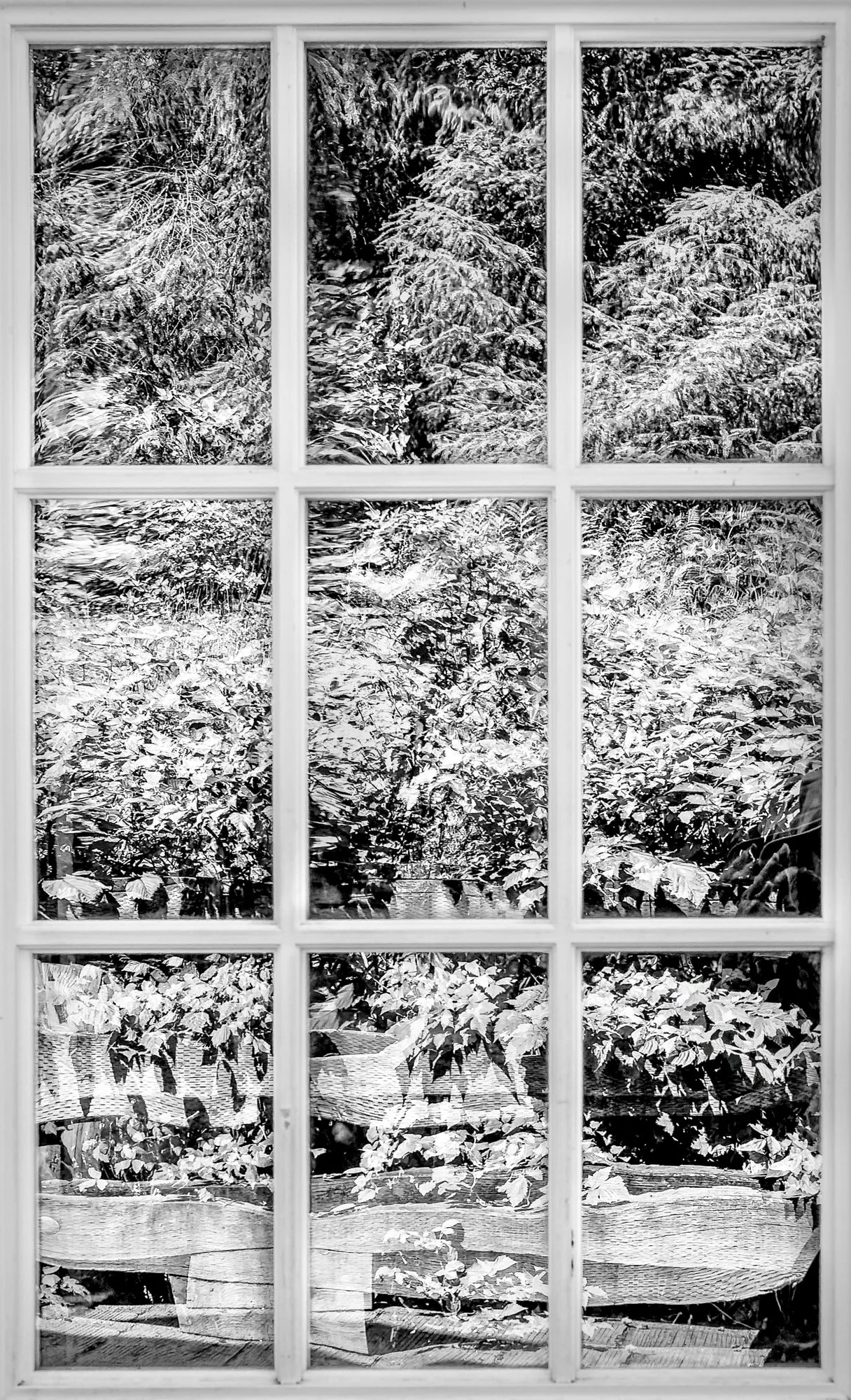 Petersburg Alaska window reflection
