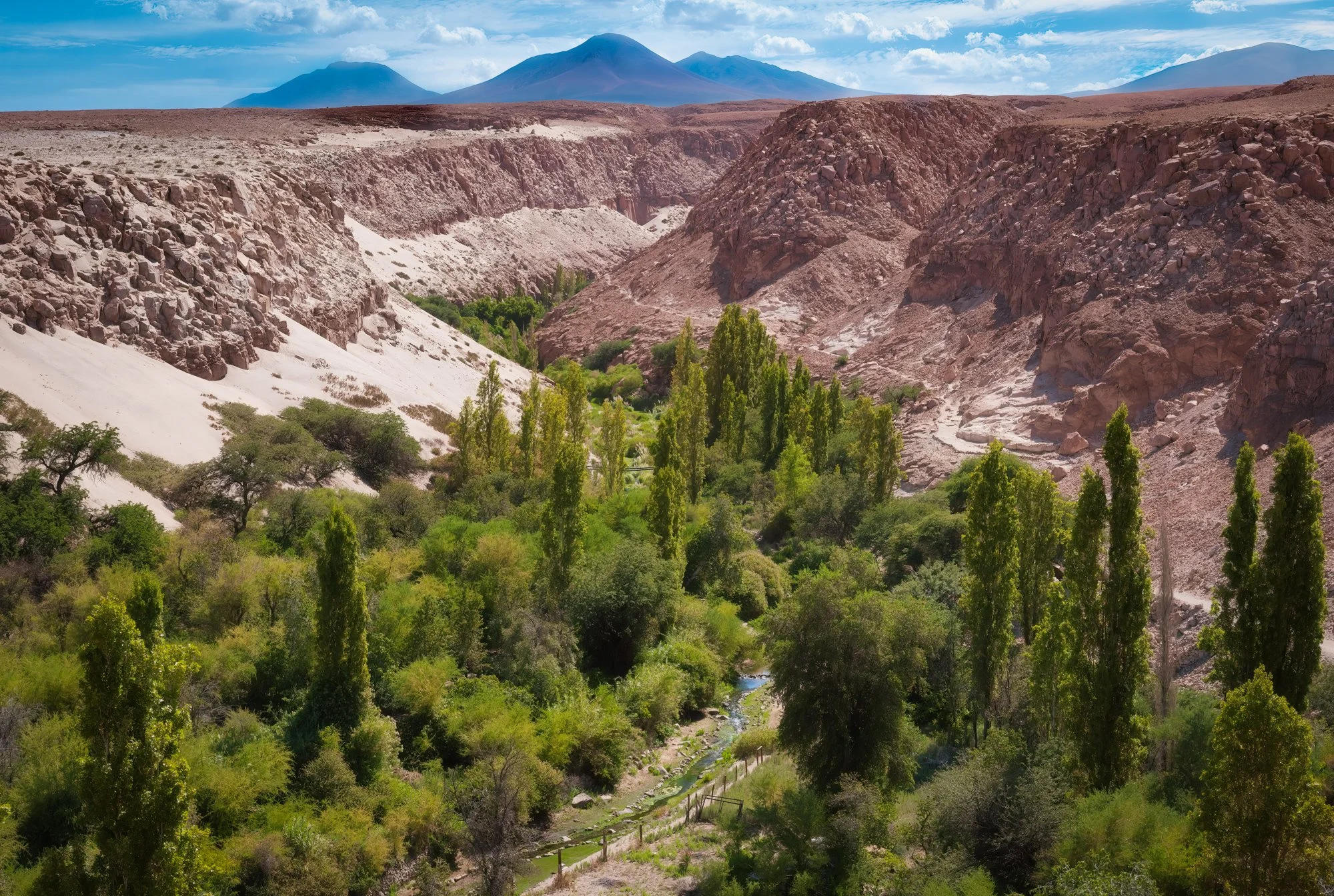 Grand Canyon:)  of the Atacama Desert.