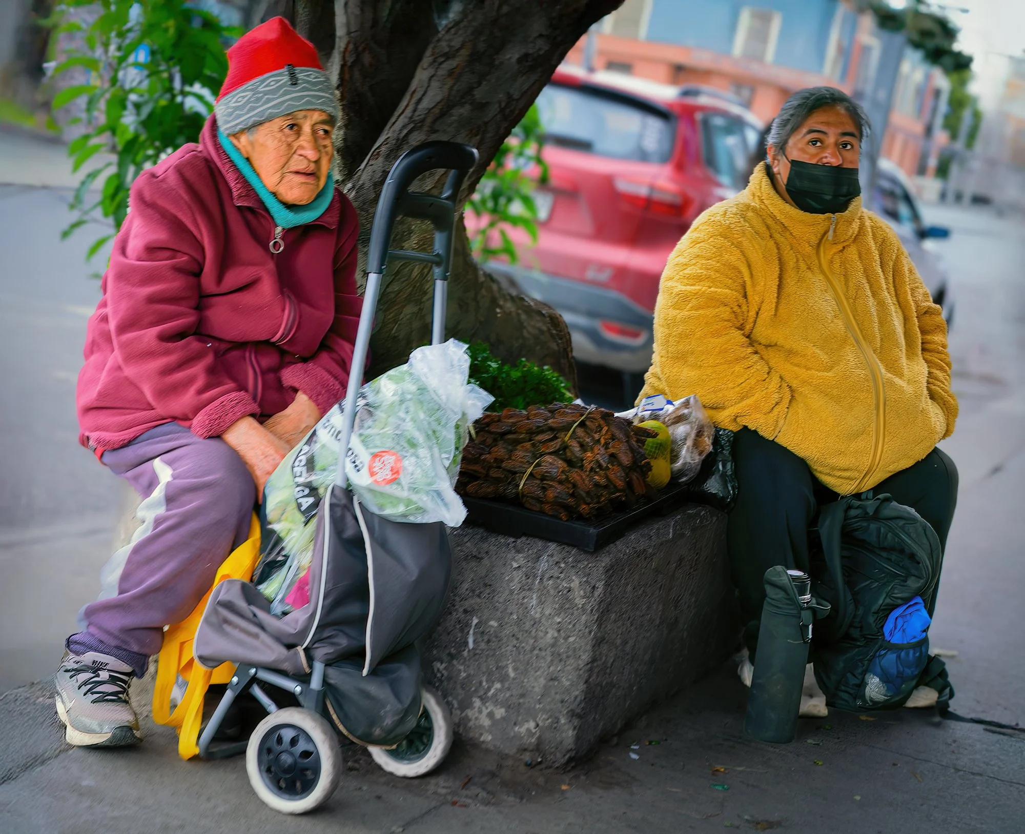 Punta Arenas street vendors.  What are they selling?  The money must be worth it to be sitting in the cold, unprotected from the strong wind.