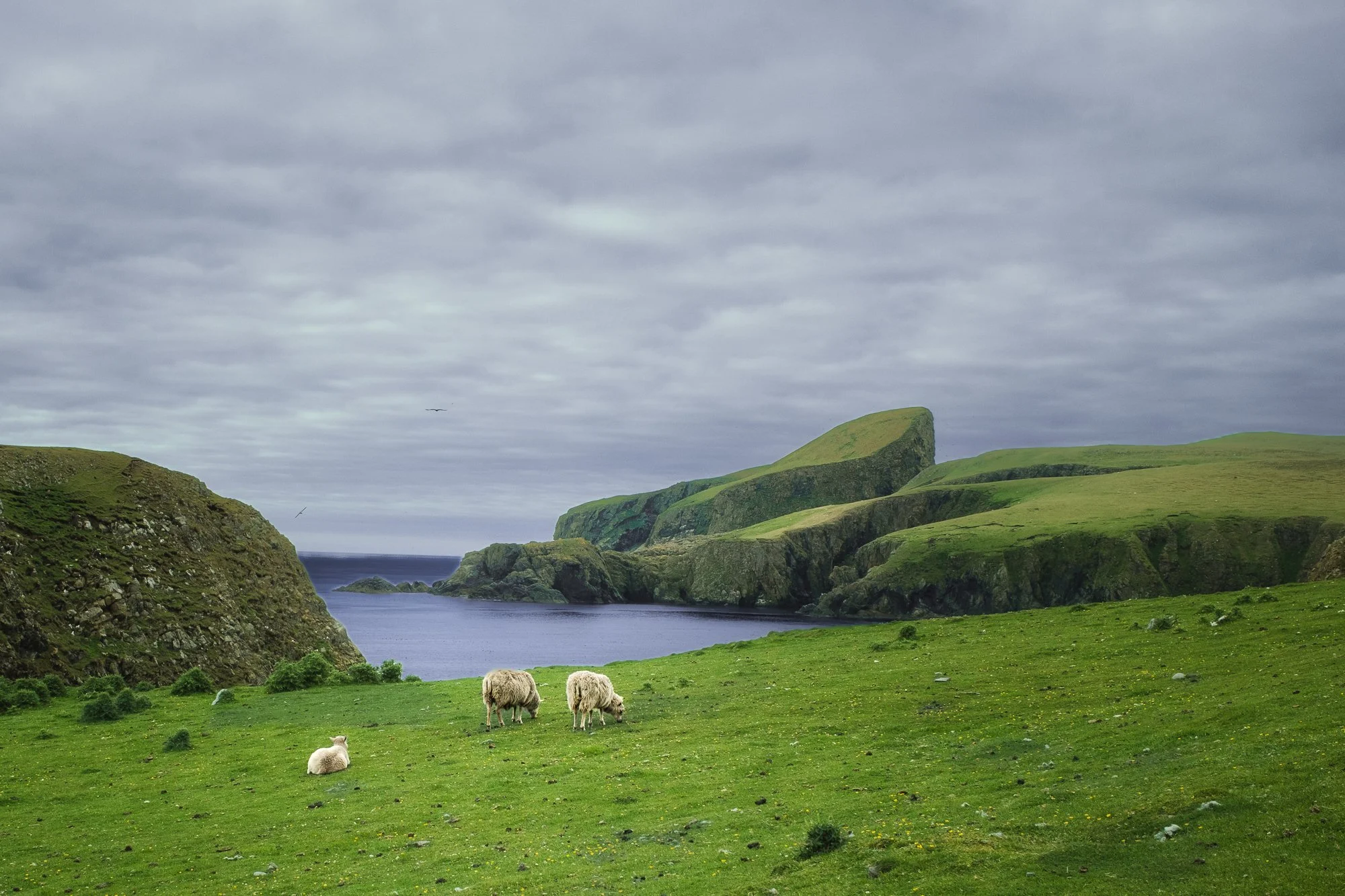 Fair Isle, Scotland