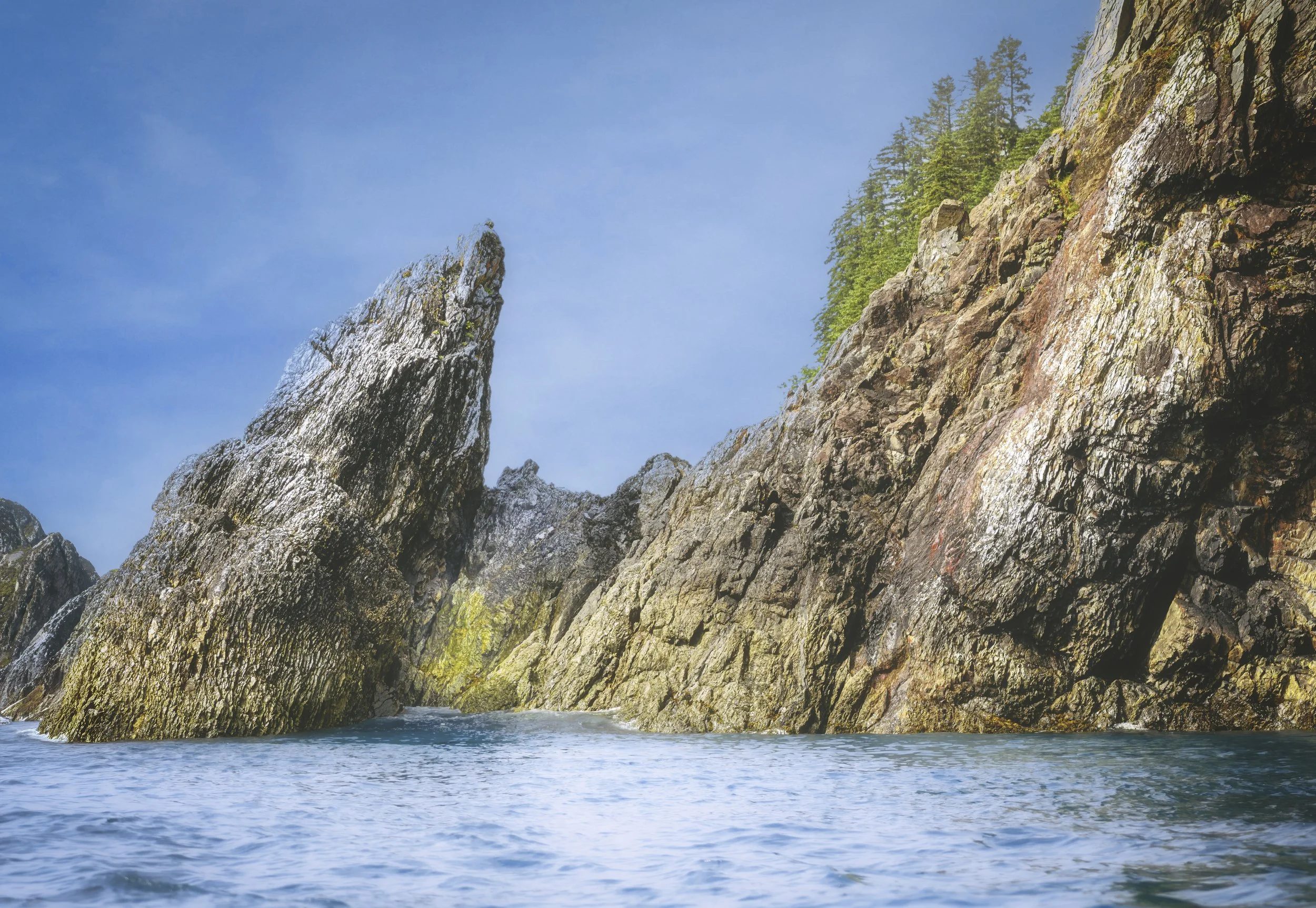 Fern Harbor, Glacier Bay National Park