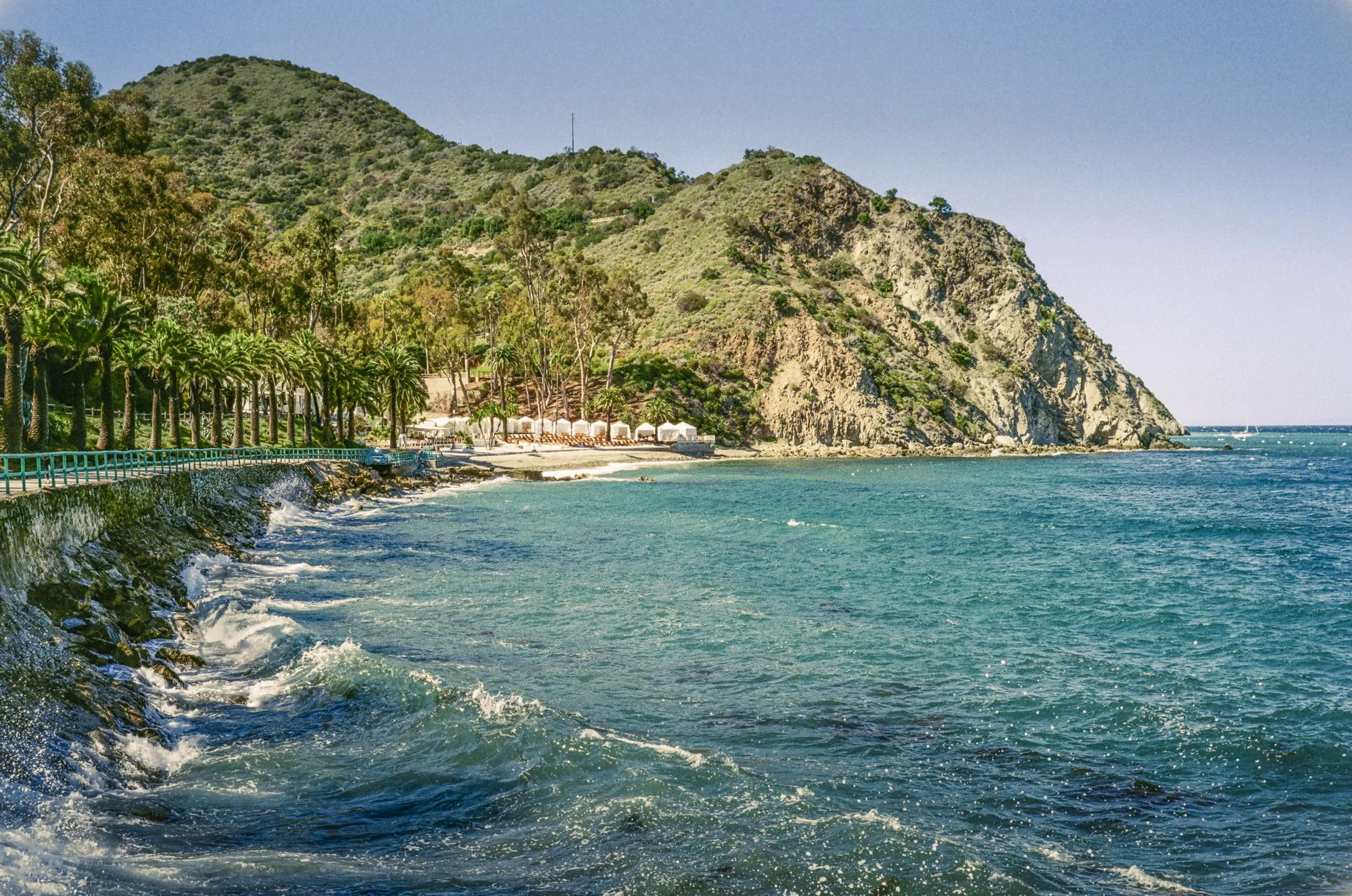 Catalina