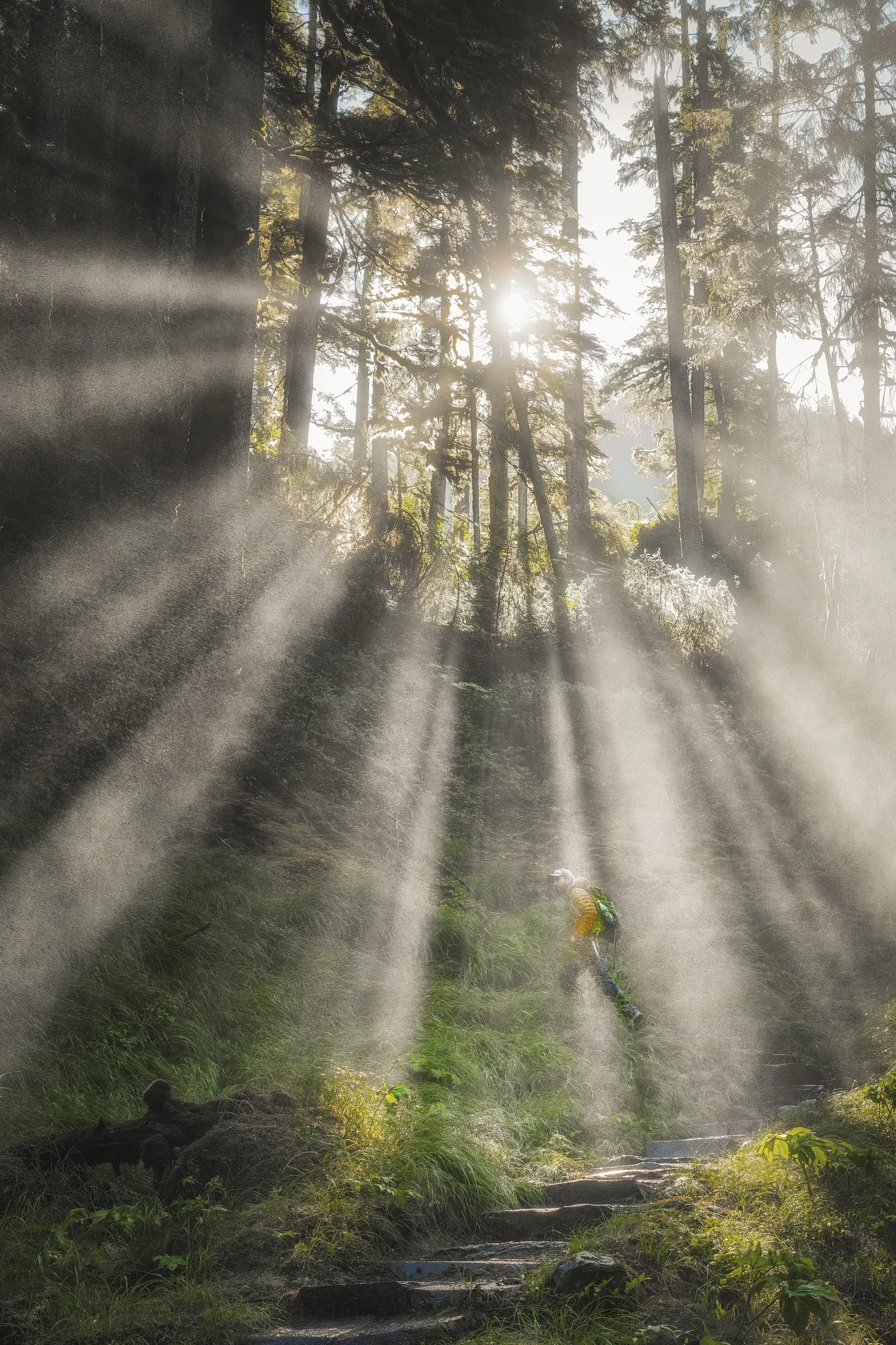 Cascade Creek, Thomas Bay.  That is Brady, our Nat Geo photographer and naturalist.