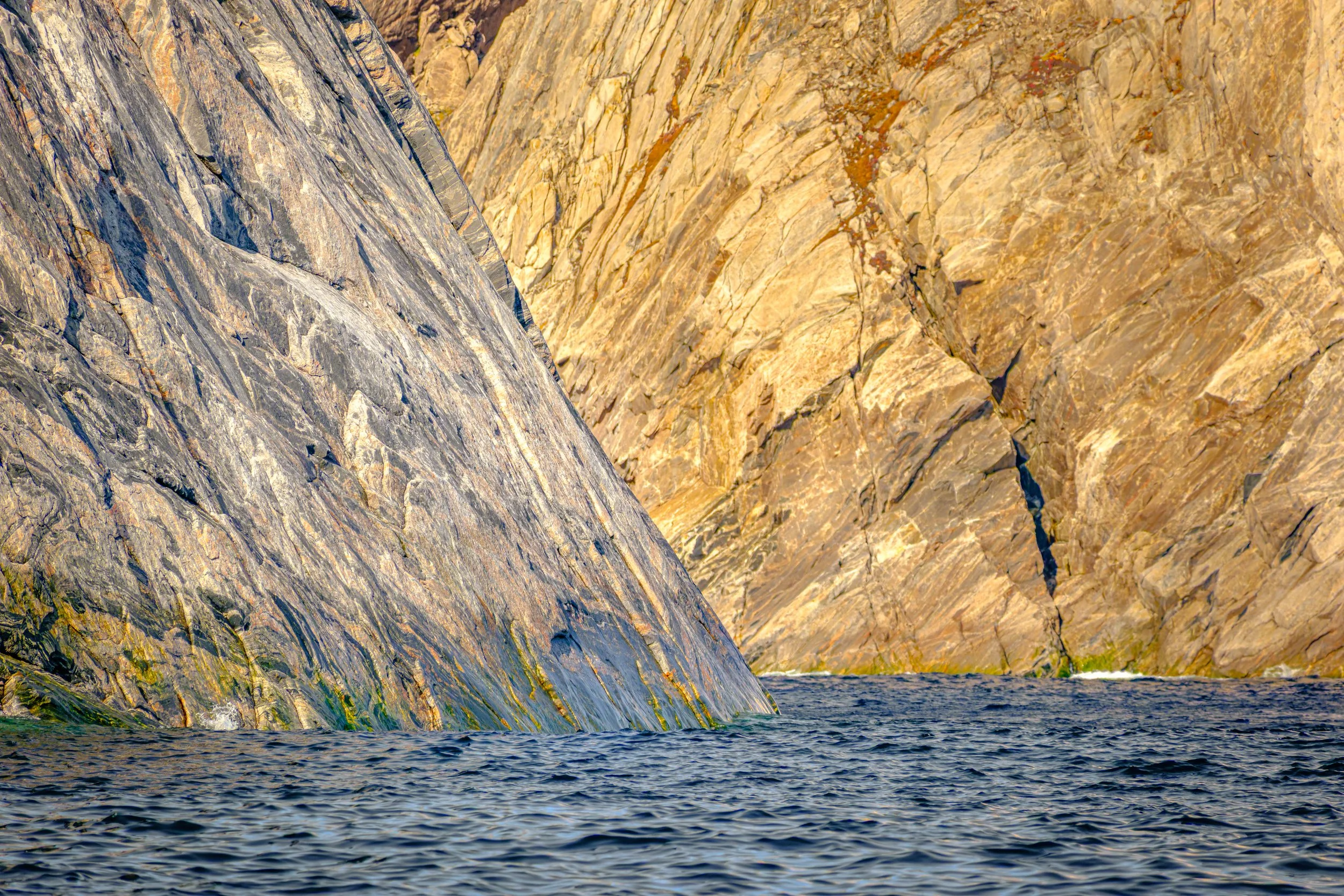 Lady Franklin Island. I am told there is an abundance of bears, caribou, ducks, seals and walrus on the island or nearby. We only saw birds.