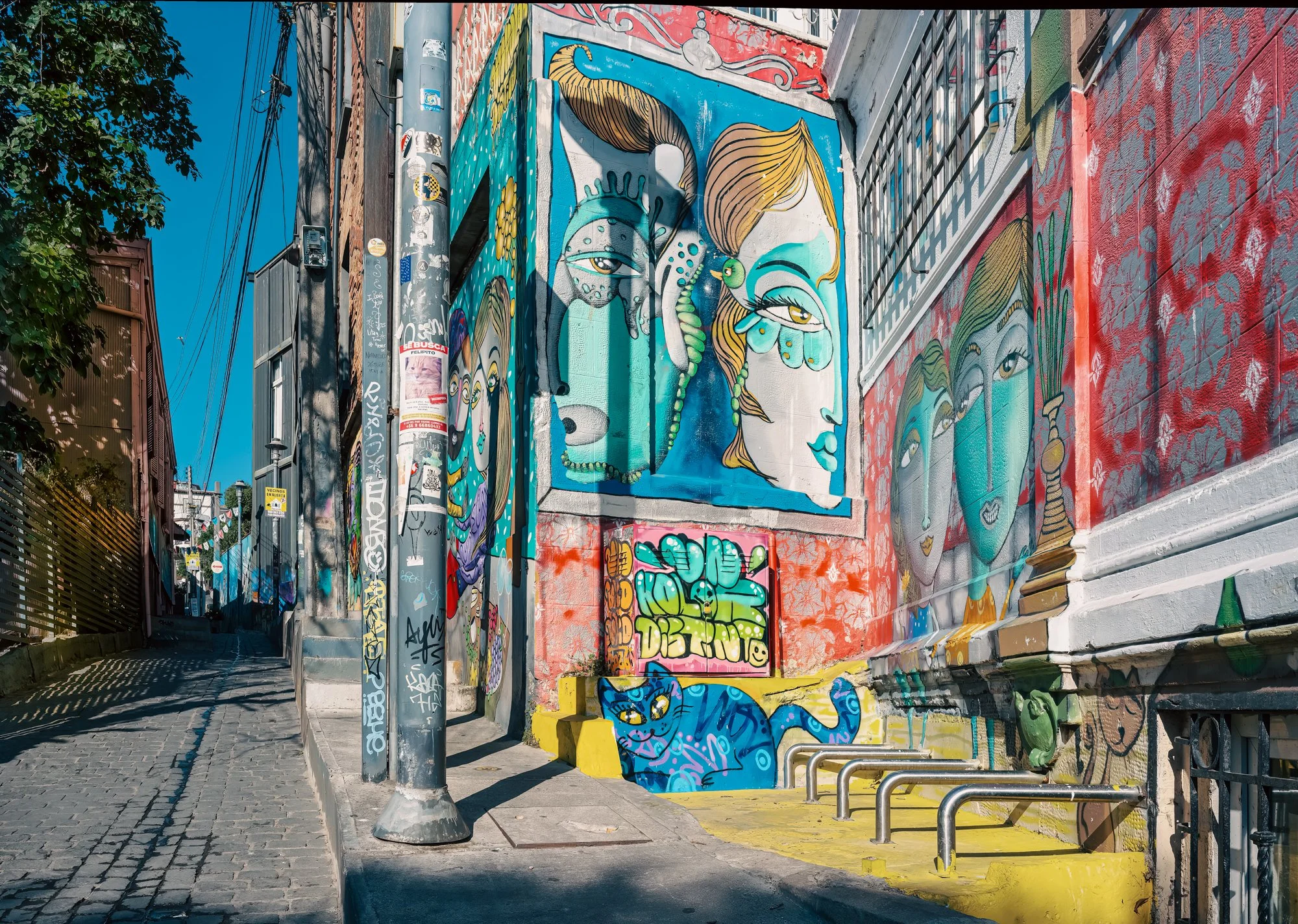Valparaiso, Chile.  Street art is out of control in this city.