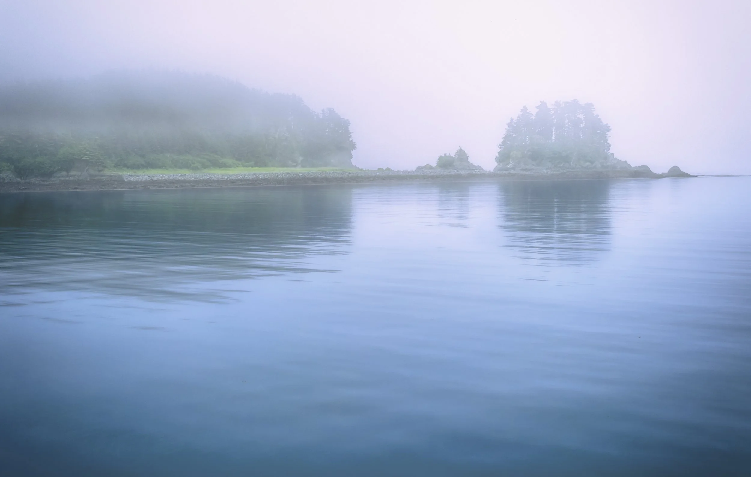 Fern Harbor, Glacier Bay National Park