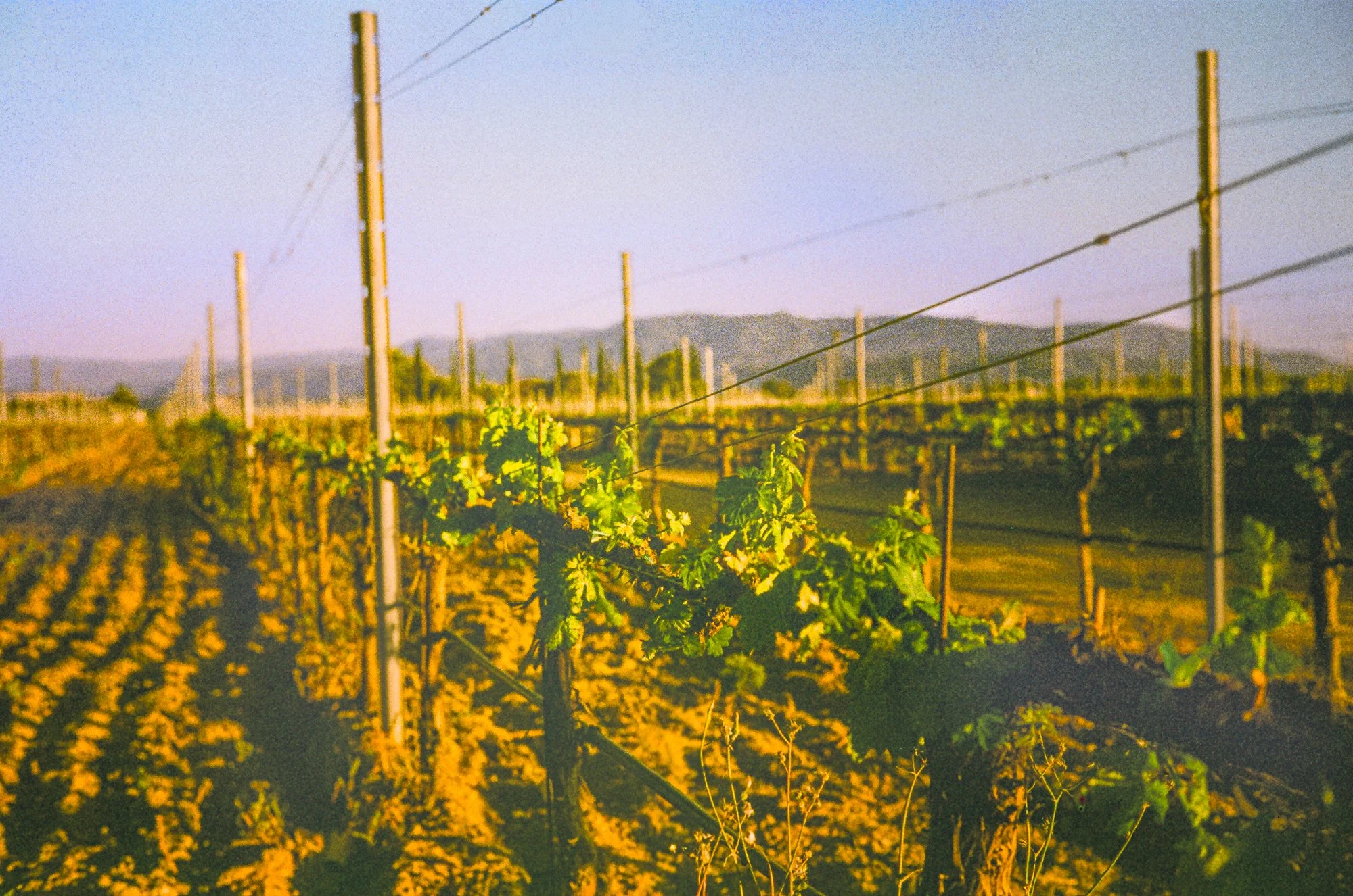 Temecula-tried a "new" sort of film