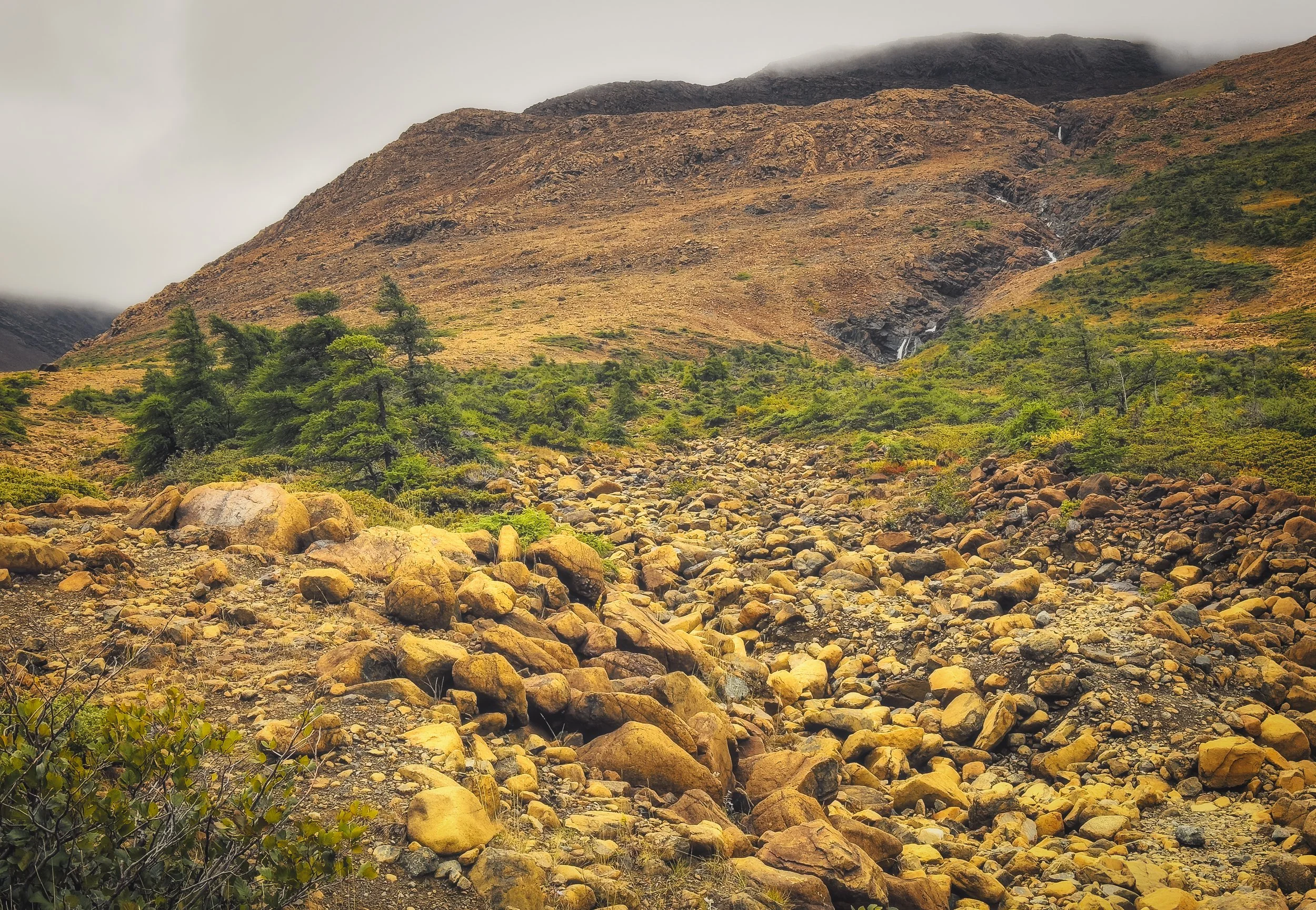 Gros Morne National Park, Newfoundland.  One of the few places where the Earth's mantle has been pushed on top of the Earth's crust!  Formed nearly 500 million years ago during a continental plate collision.