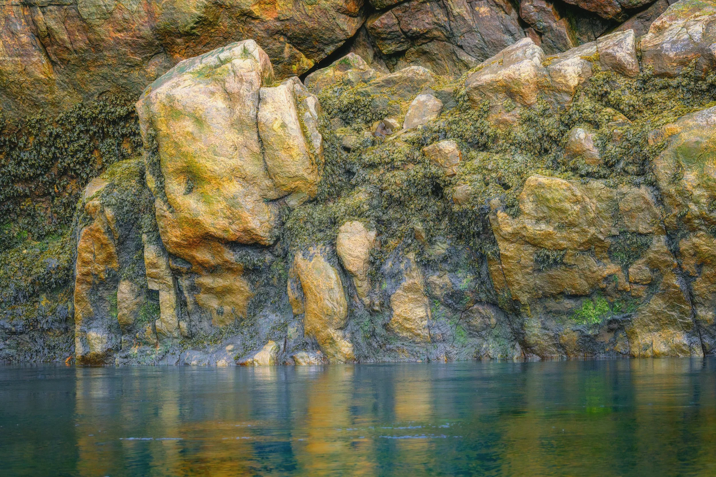 Lower Savage Islands.