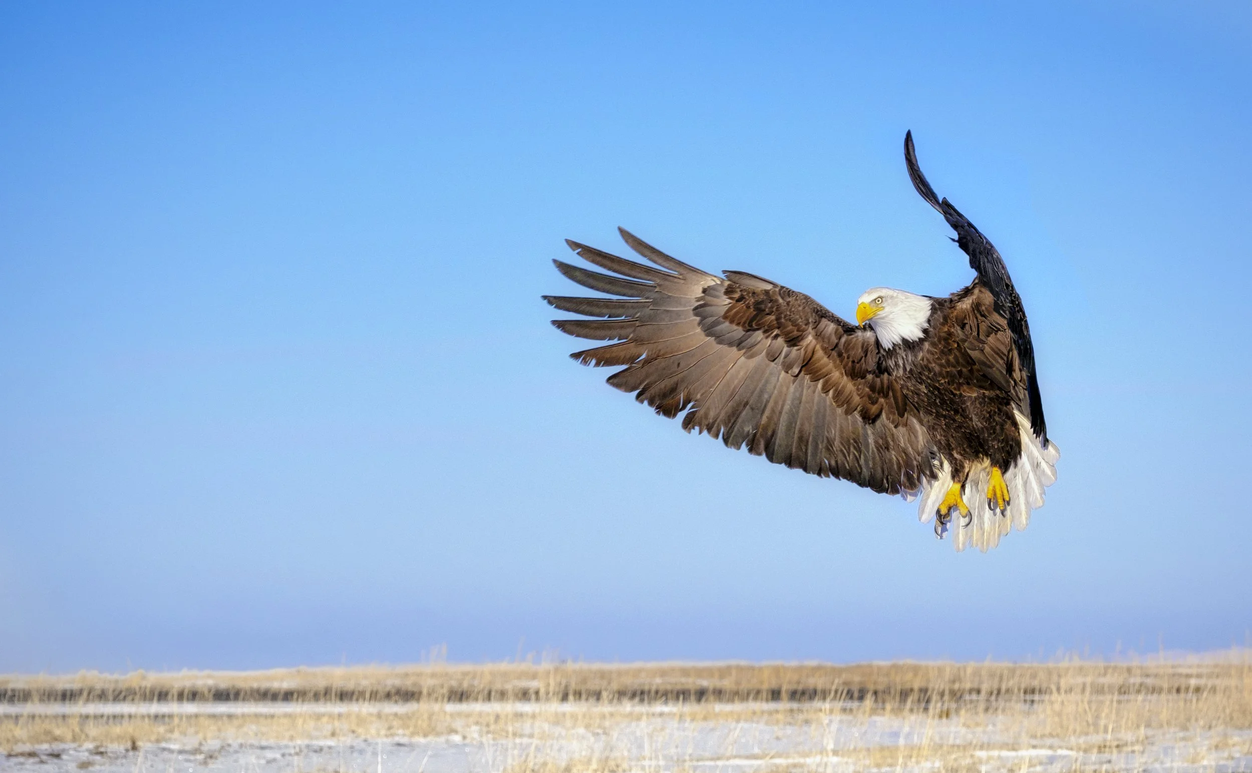 Eagles-23.jpg
