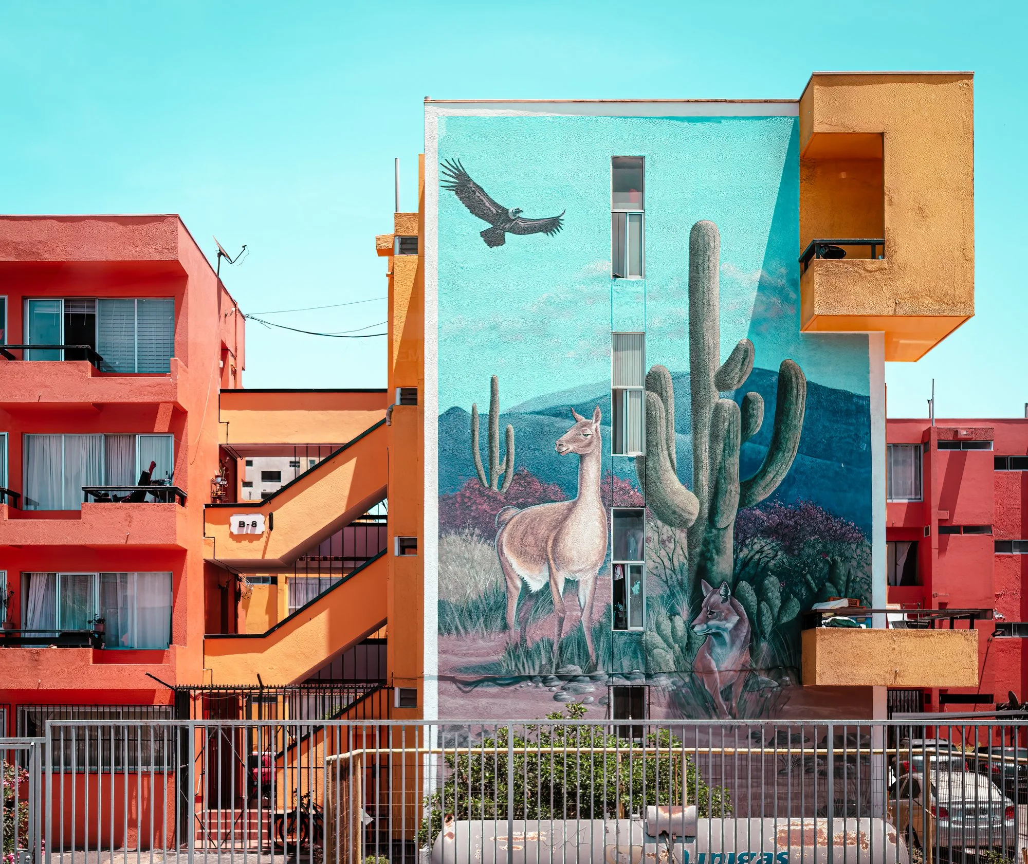 Iquique, Chile. Apartment building art depicting the wildlife of Peru.  Andean condor, vicuna (official National animal)  and the Andean fox (not really a fox).
