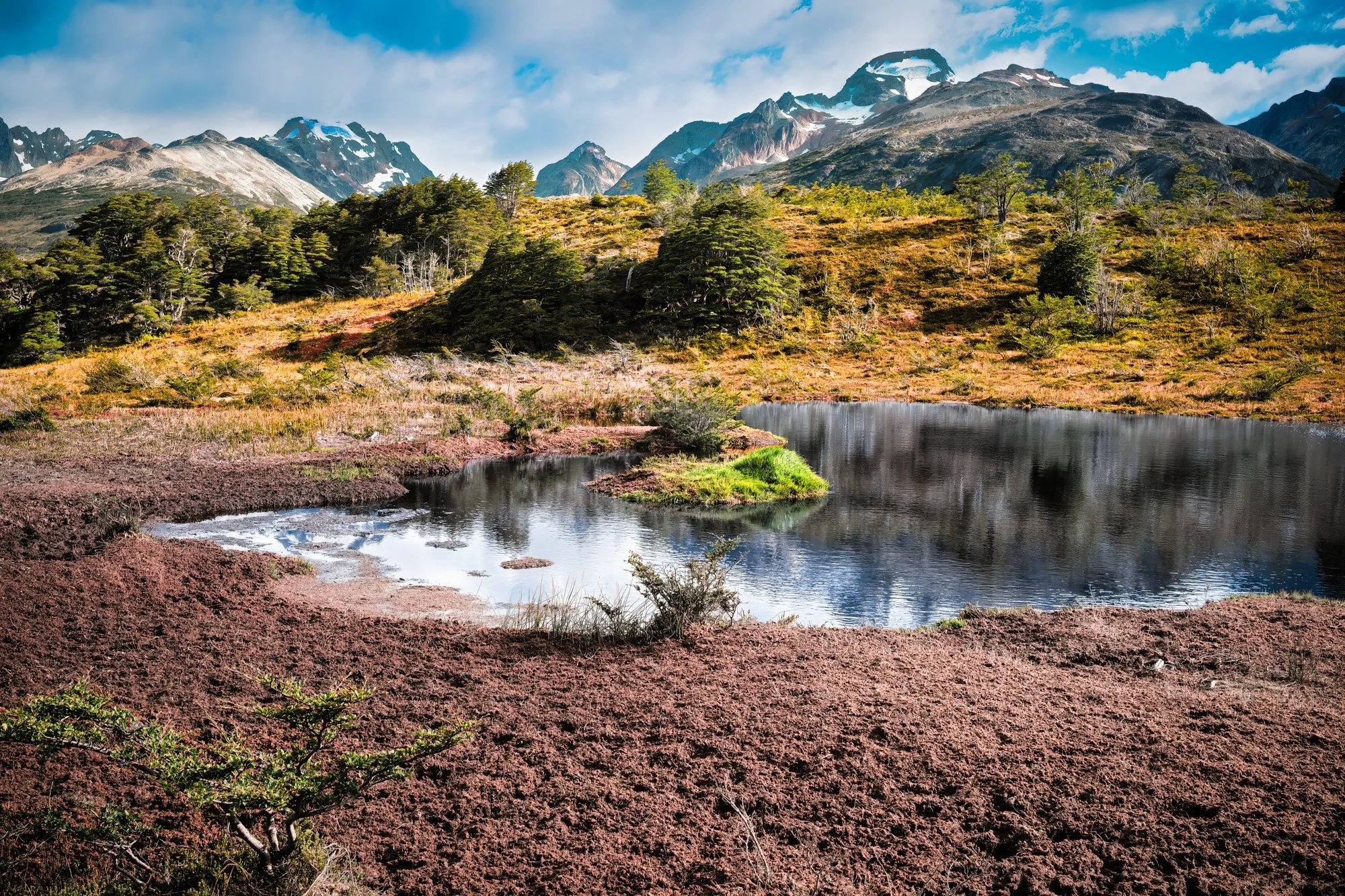 I took a 4-wheel drive  tour into the mountains beyond Ushuaia, and then went hiking