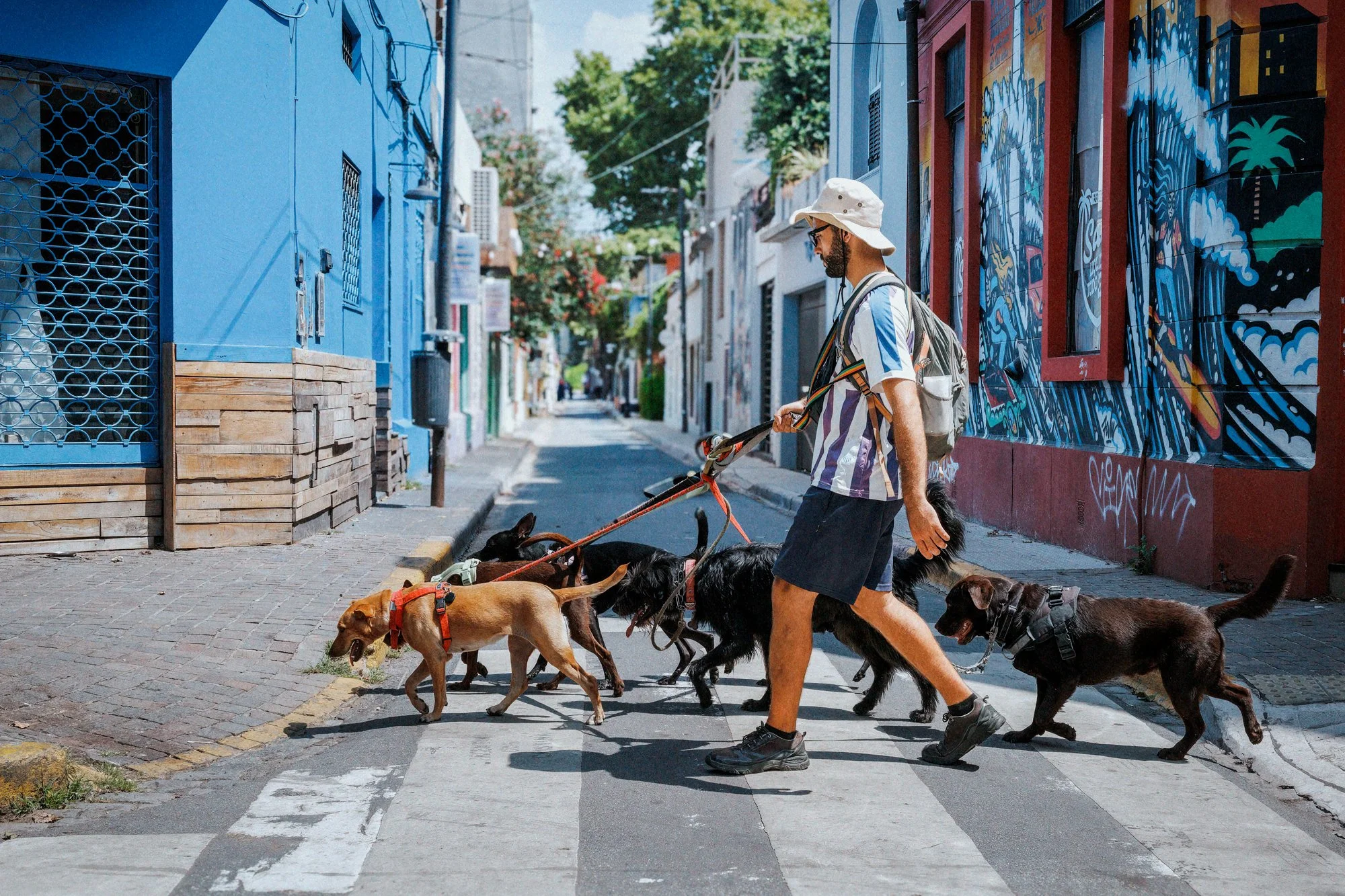 Buenos Aires neighborhood