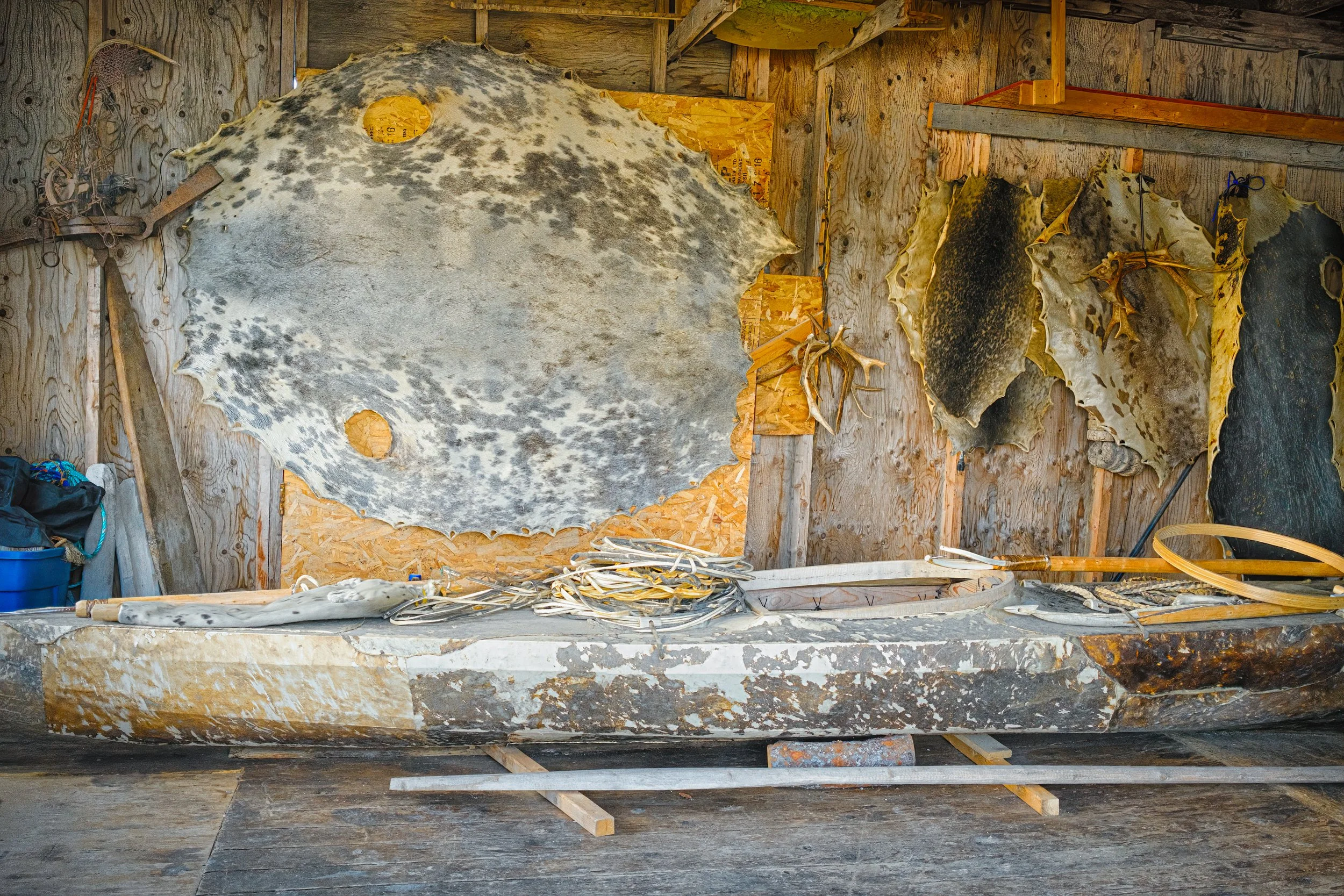 Inside a Hopedale shed.  Animal skins, a kayak, tools.