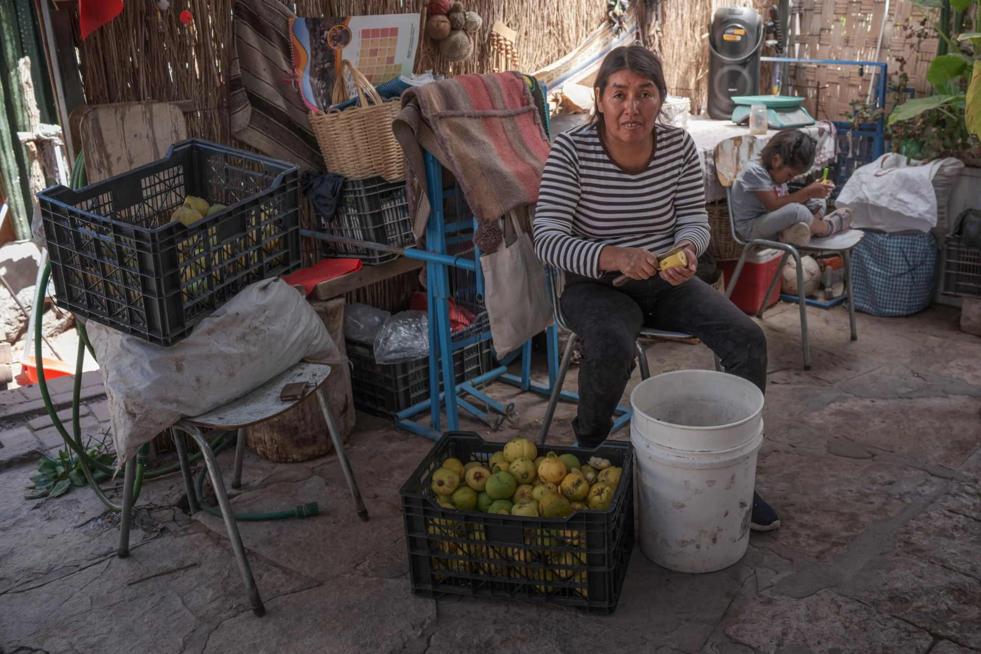 Atacama desert, Chile