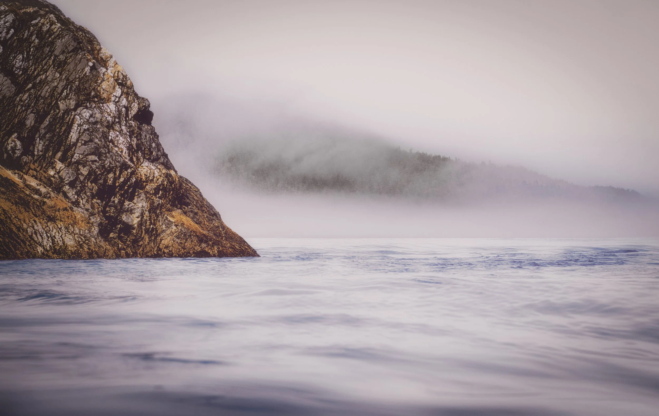Zodiac cruising views, Fern Harbor, Glacier Bay National Park