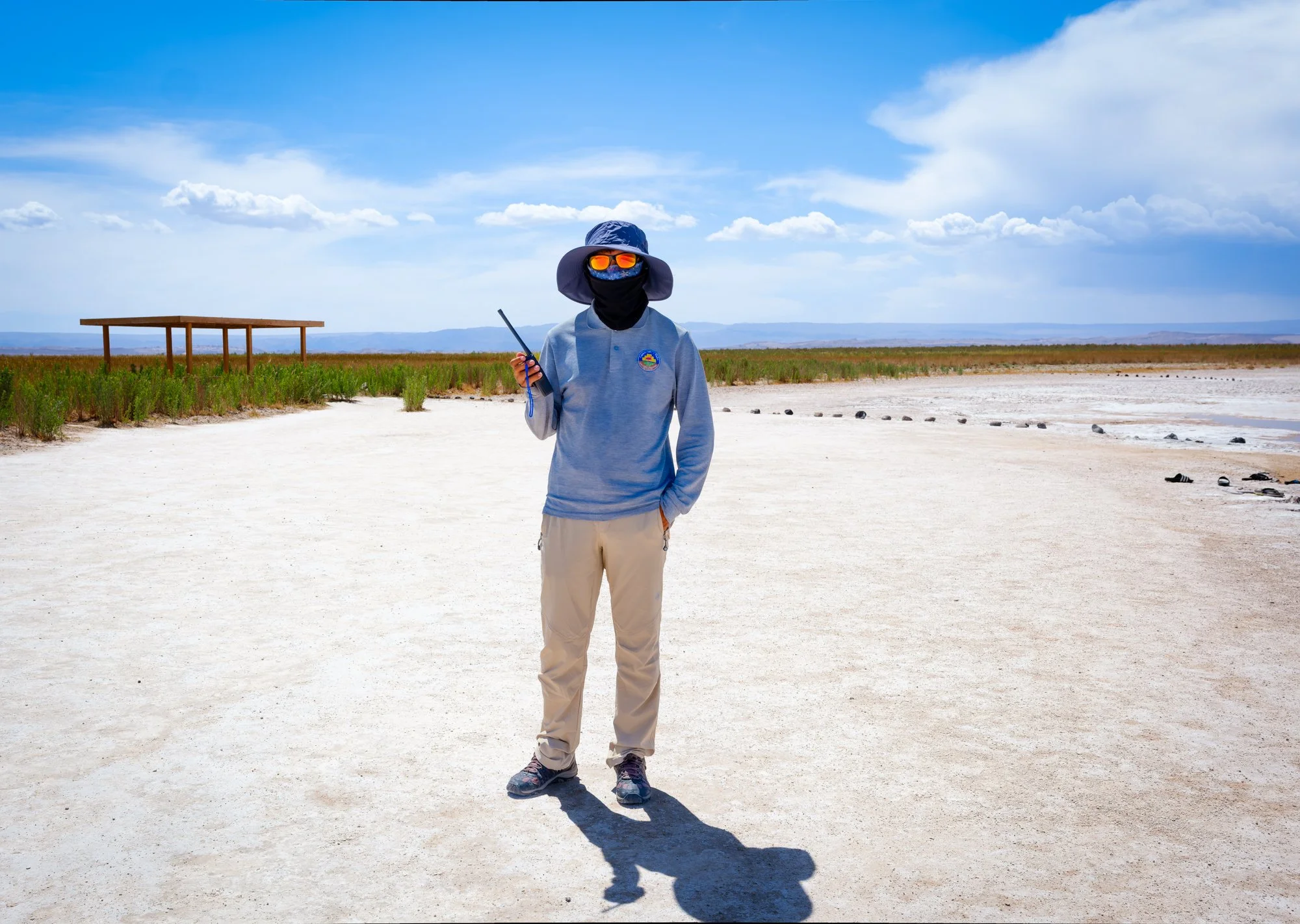 Atacama desert, Chile. Guardian of the salt lagoons.