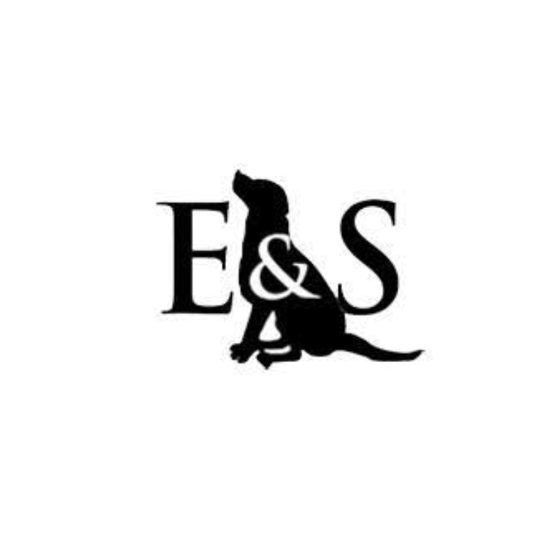ES square logo.png