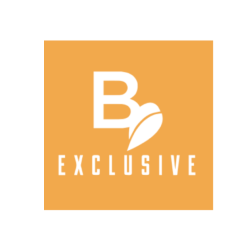 Belv square logo.png