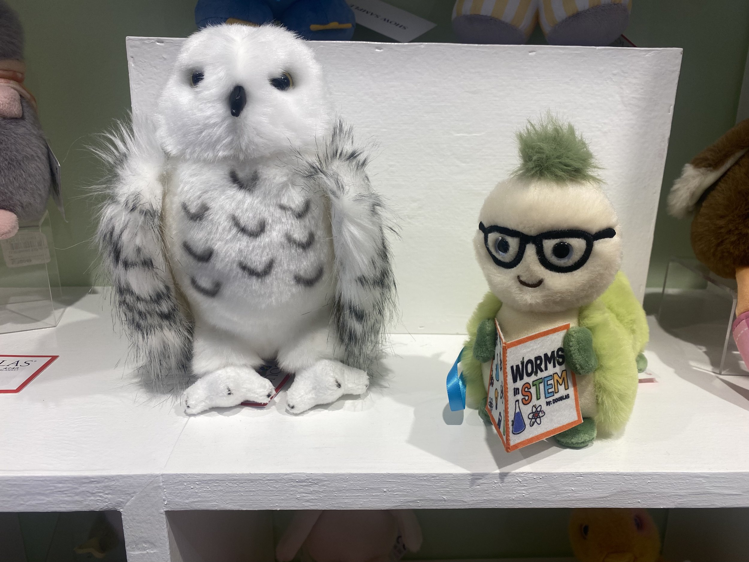 Atom Book Worm with Snowy Owl