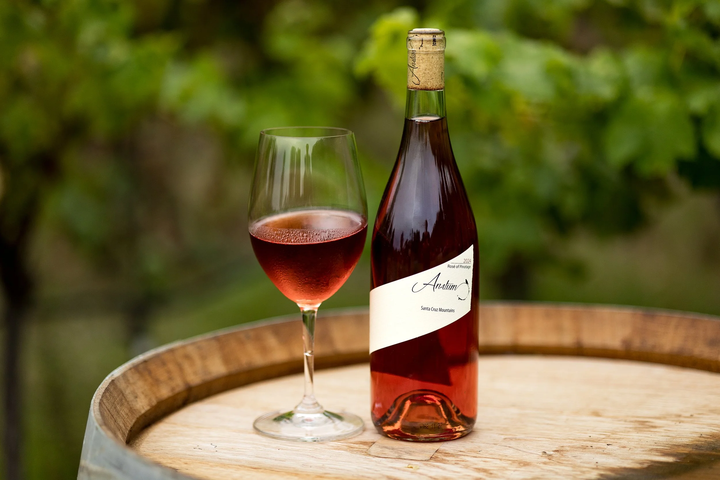 AnatumWinery2025-29.jpg