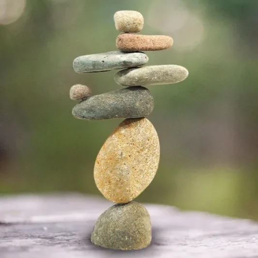 Symbolic nature image representing balance, connection, and holistic understanding.