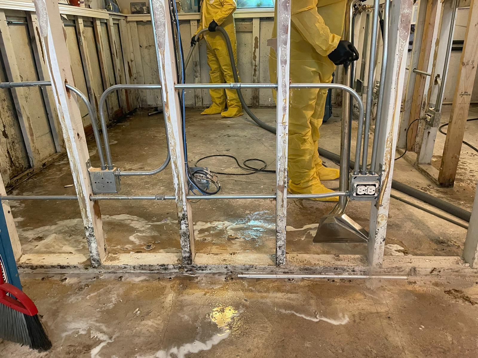 Drywall removed for antimicrobial cleaning due to mold growth after sewage backup