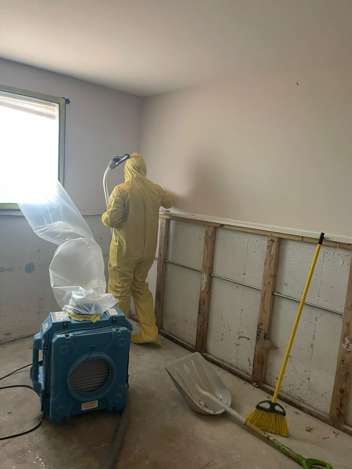 Drywall removed in basement being cleaned for mold remediation
