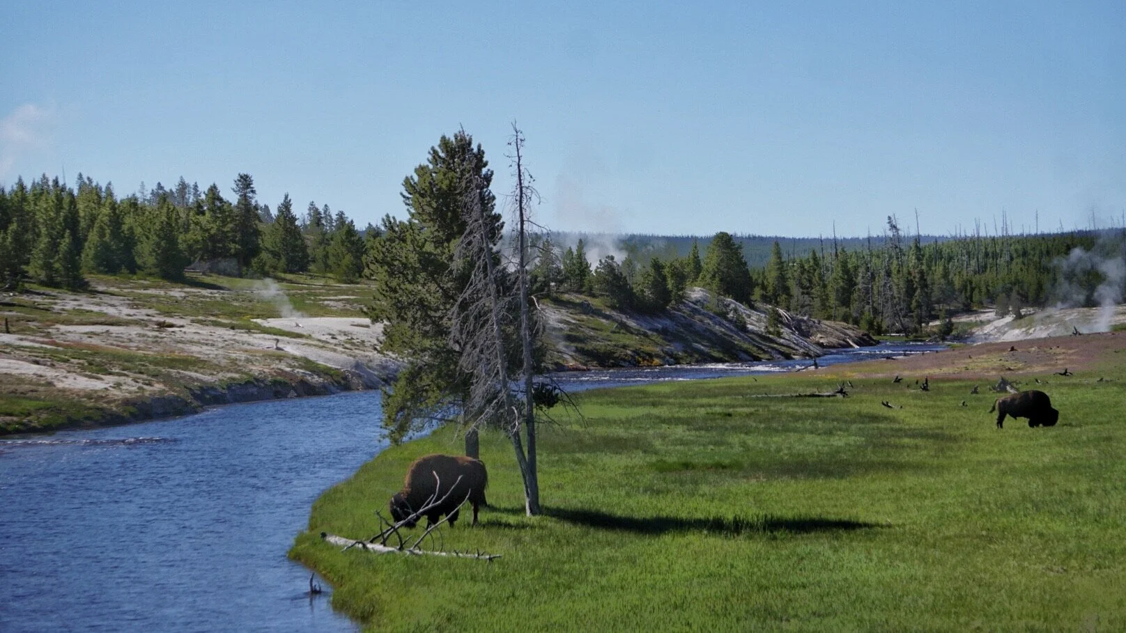 Water Best Fly Fishing Guides Yellowstone Yellowstone Fly Fishing Co.