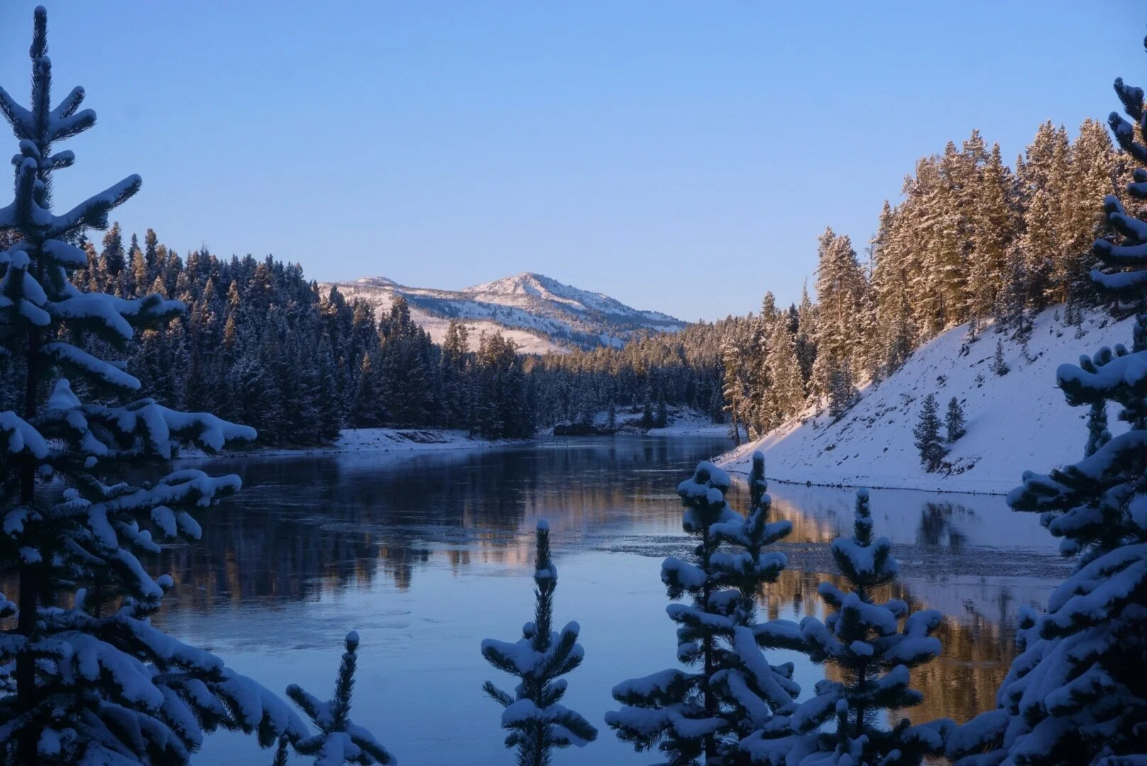 Best Yellowstone Fly Fishing Guides Yellowstone Fly Fishing Co.