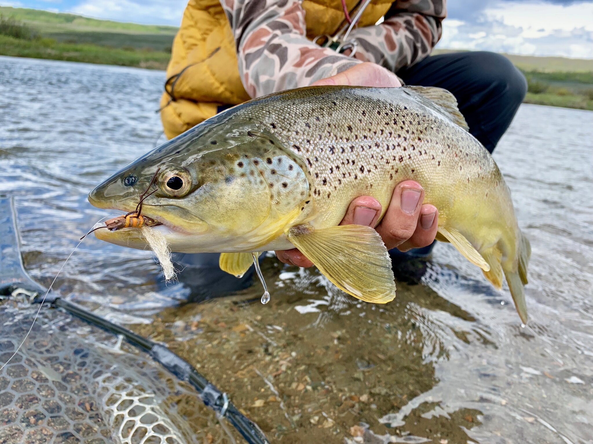 Best Yellowstone Fly Fishing Guides Yellowstone Fly Fishing Co.