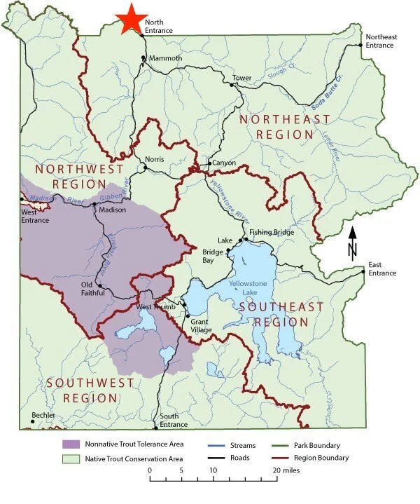 Water Best Fly Fishing Guides Yellowstone Yellowstone Fly Fishing Co.