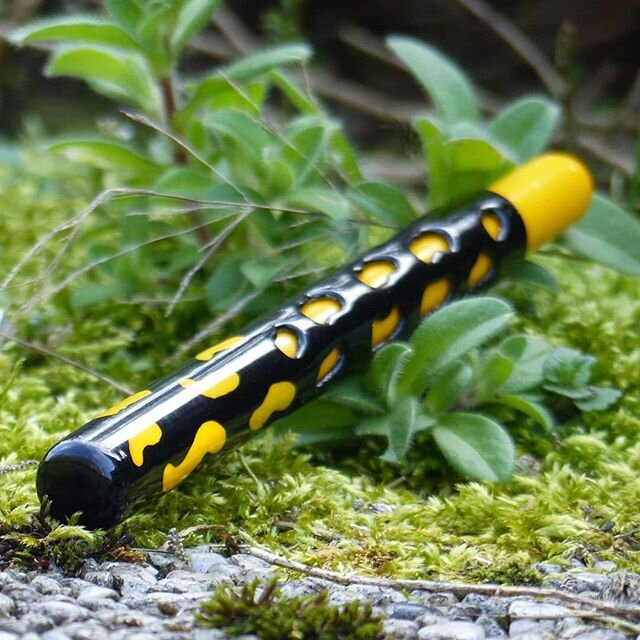 The Bergfeder Salamander (carbon fibre/beech wood) is inspired by one of the more unusual creatures on this planet, the fire salamander (lat. Salamander Salamander).
Sold
.
.
.
.
.
.
.
#fountainpen #art #feuersalamander #salamander #yellow #bergfeder