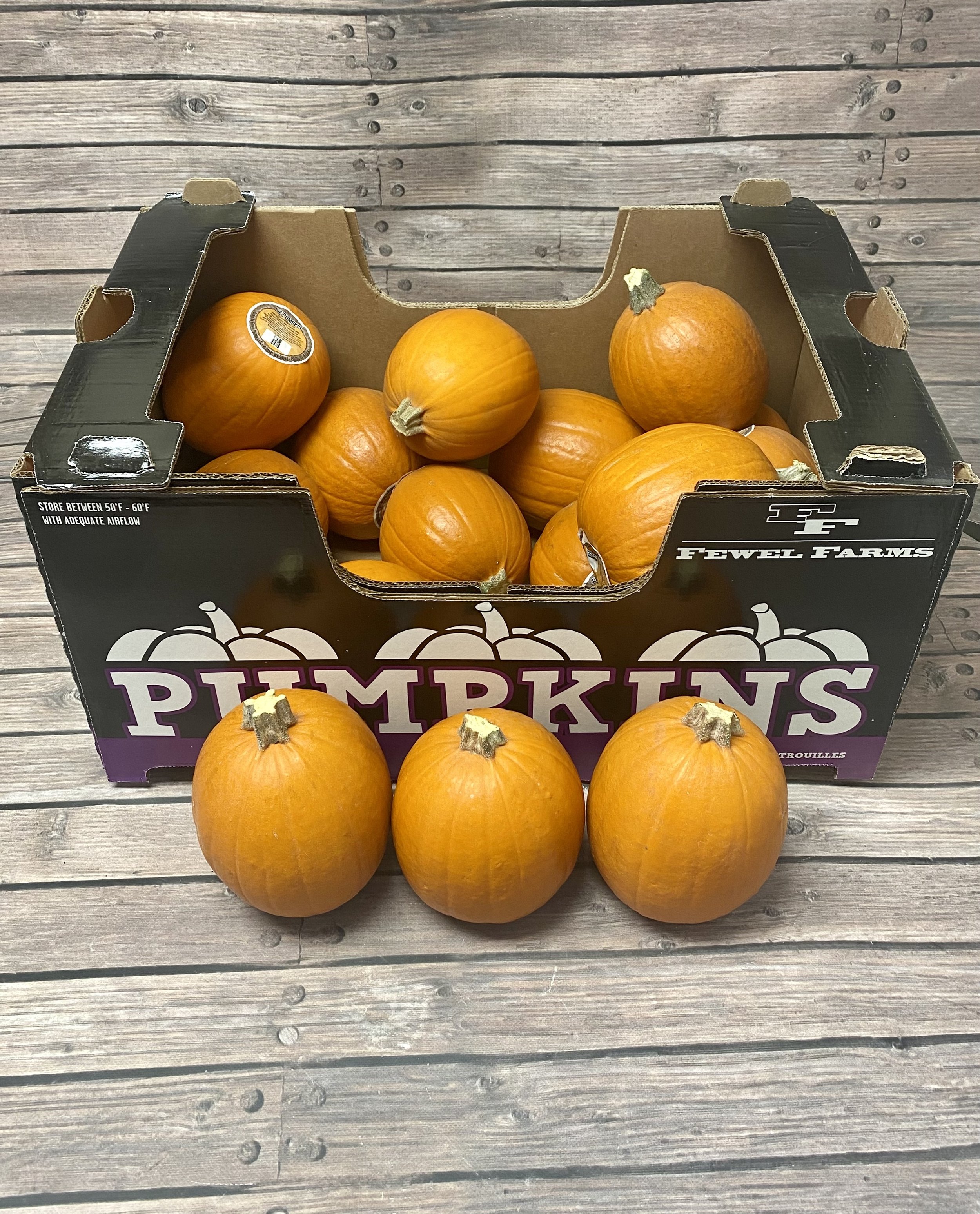 Pie pumpkins also known as “Sugar pumpkins” are smaller in shape then the typical pumpkins youll find outside your local grocery store. This small, round pumpkin is packed full of flesh that makes it a good choice for cooking. The pulp also has a b