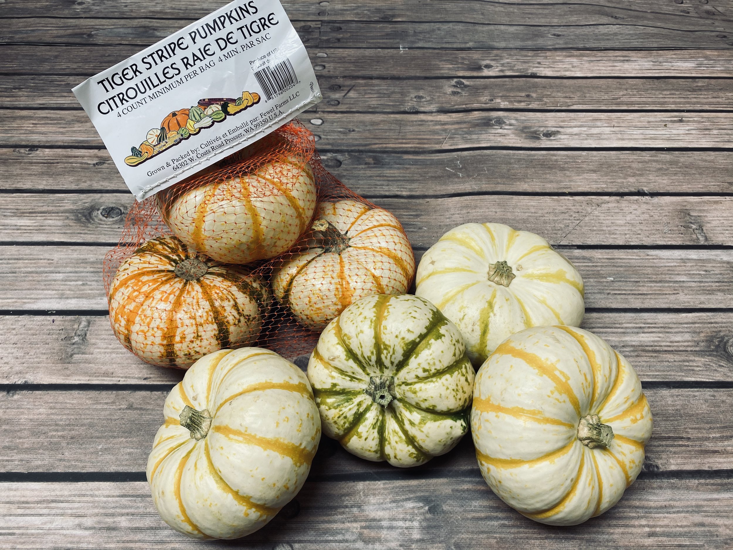 Tiger stripe pumpkins are actually the Lil Pump Ke Mon pumpkins. White background with orange and green stripes, each one unique and colorful. These are hardshell pumpkins with extended shelf life.