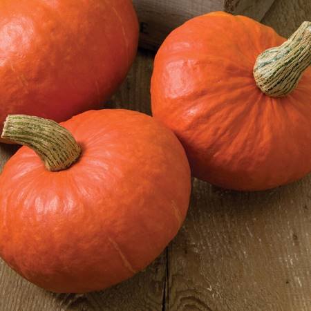 The Sunshine is bright orange with a smooth, tender sweet flesh. It is great for mashing and baking pies. Average weight is 3-5lbs.