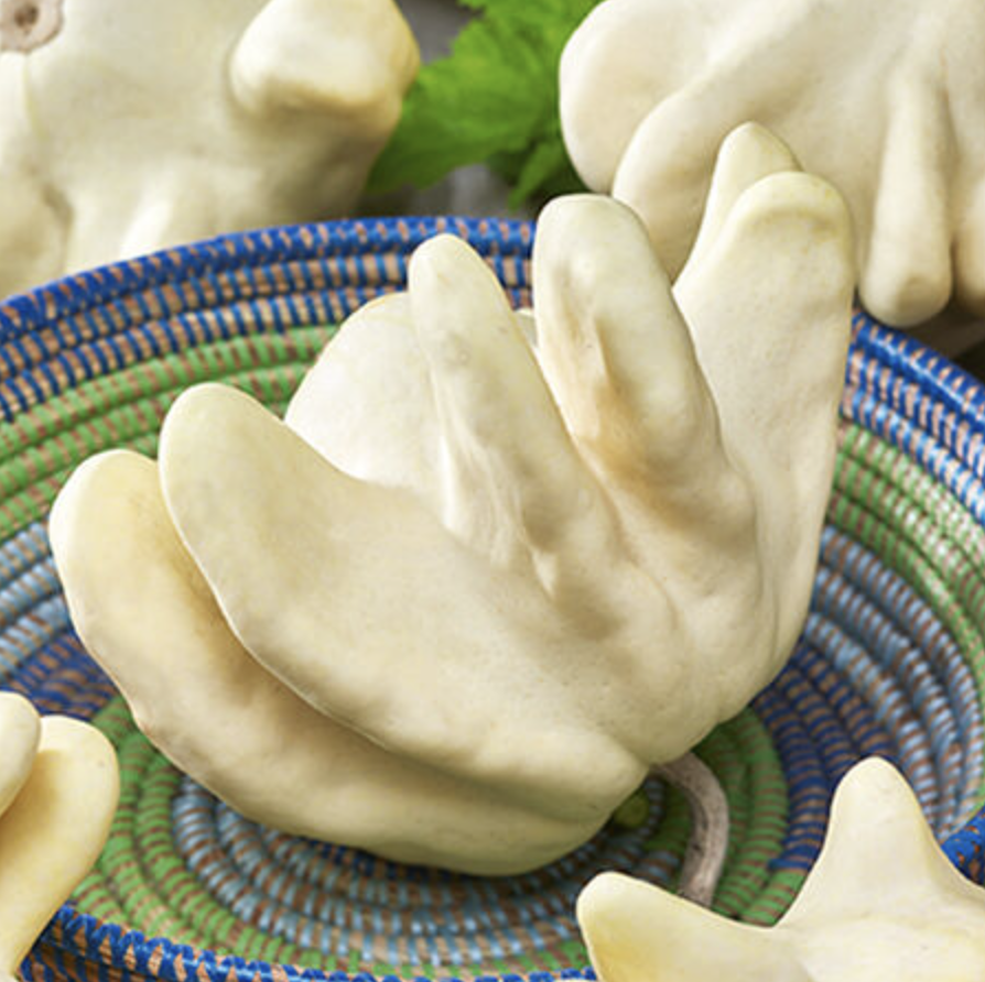 The UFO is a white saucer-shaped edible gourd has short fingers giving it an unique UFO shape. Weighing approximately 1lb.
*Product available by preorder only.