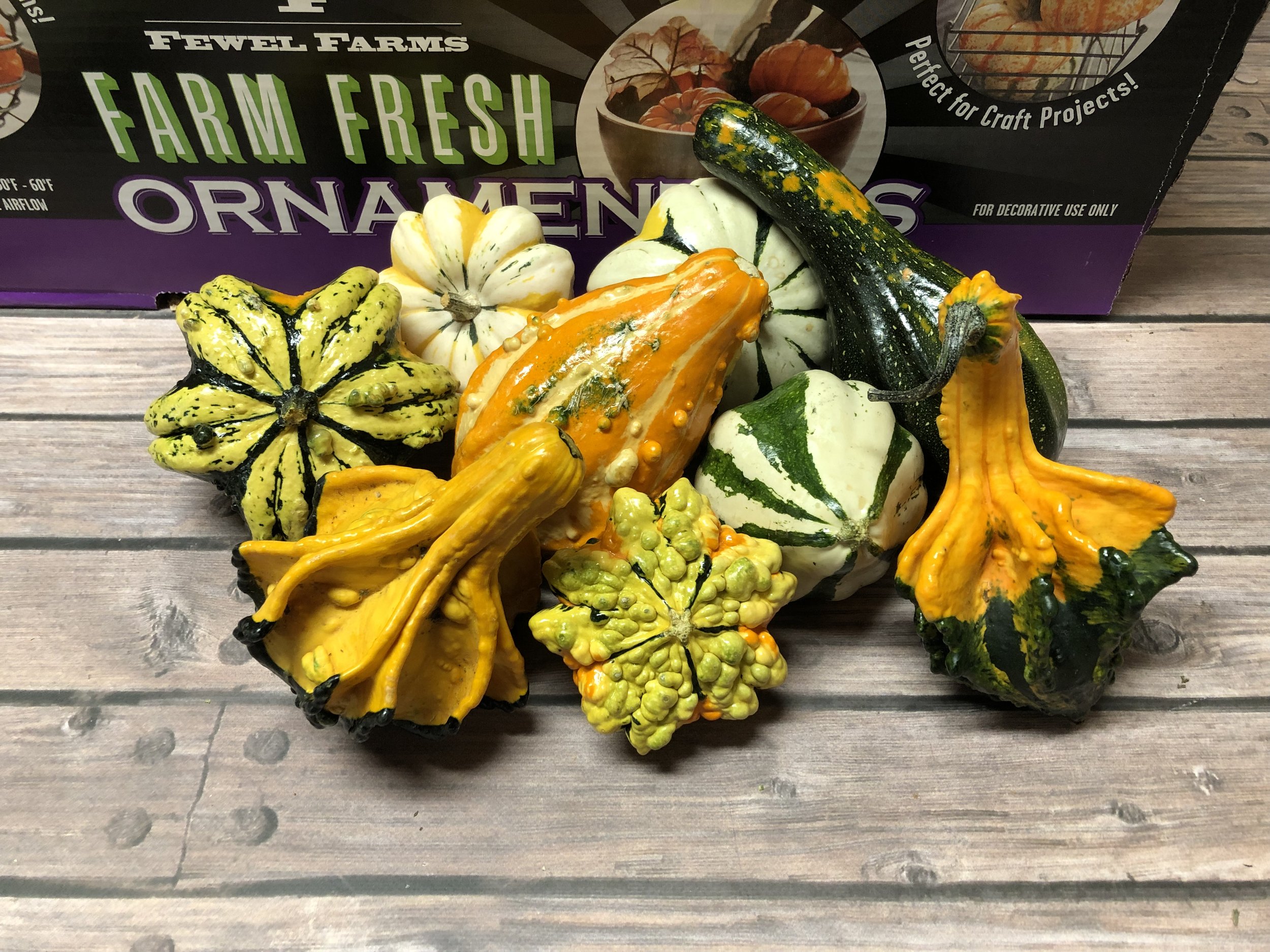 Gourds have continued to chang and improve over the last few years. We now have a mix that icludes winged, warted, and come in a variety of shapes and sizes.