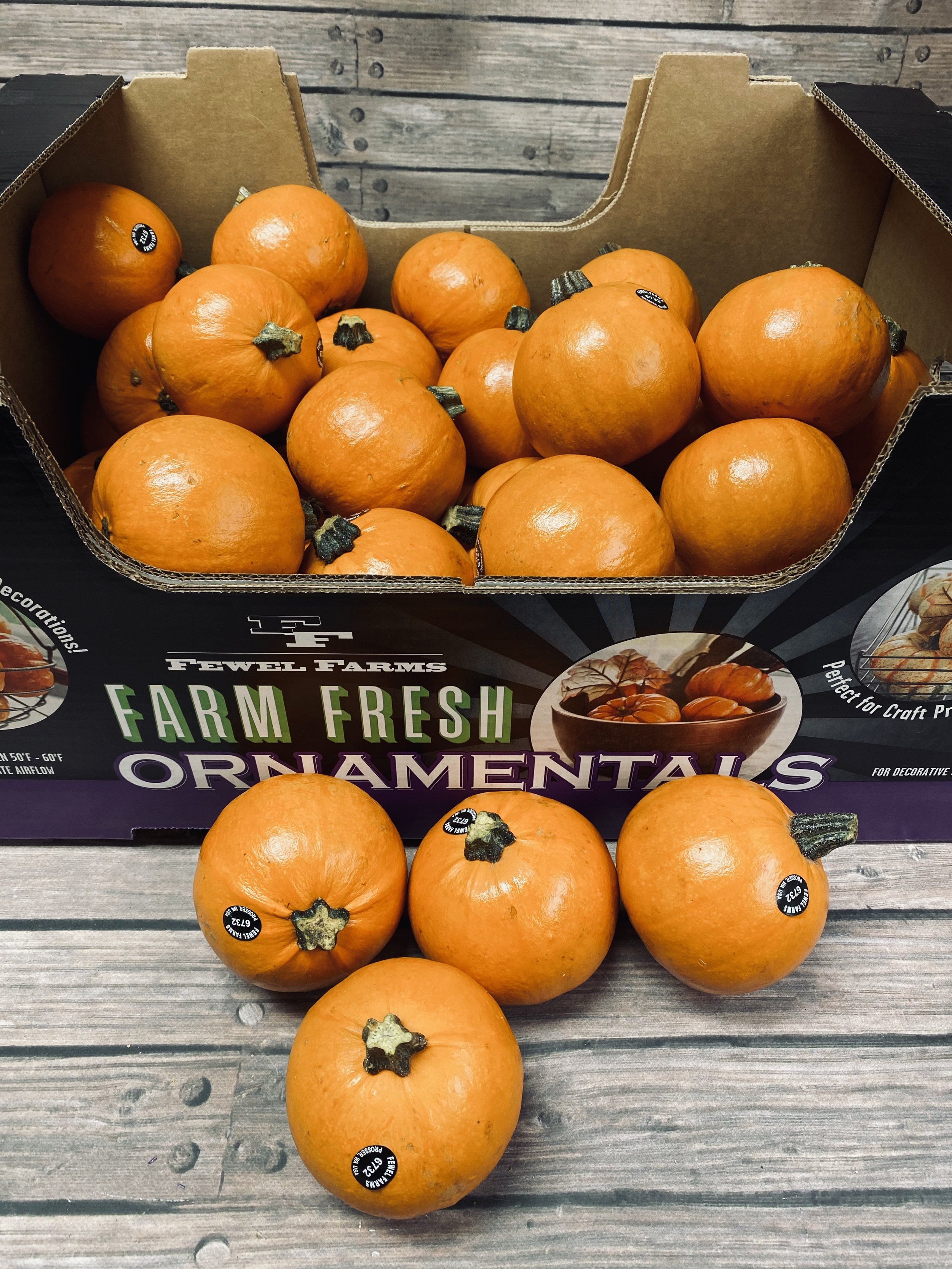 Wee bee little pumpkins are a great hard shell mini pumpkin. Round with a smooth orange color. A favorite to paint or to carve for projects.
