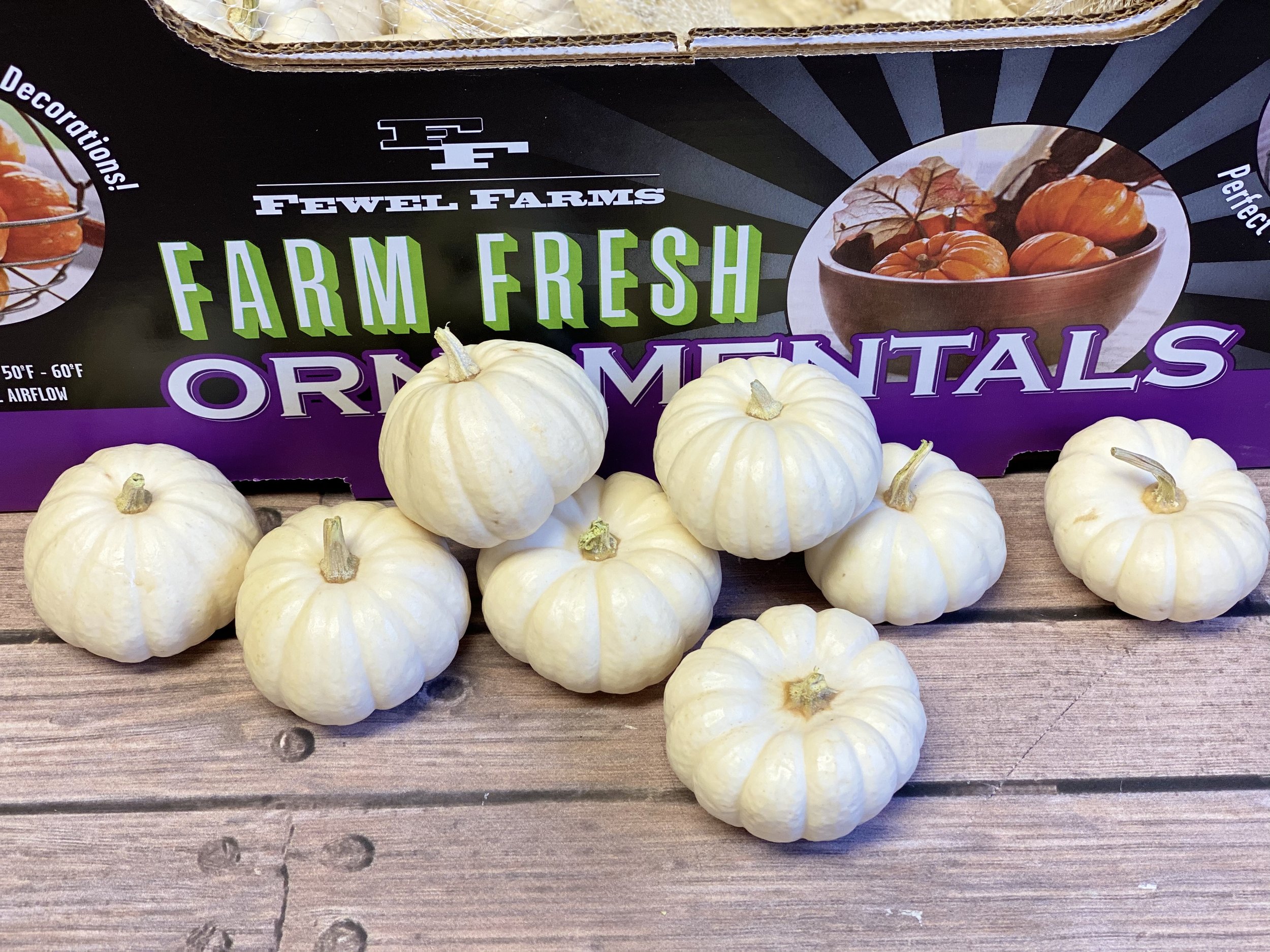 Baby Boos are a white mini pumpkin. These are little 3 inch pumpkins, non waxed due to their natural shine.
