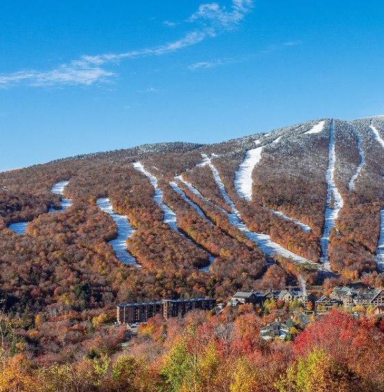Stowe ski image