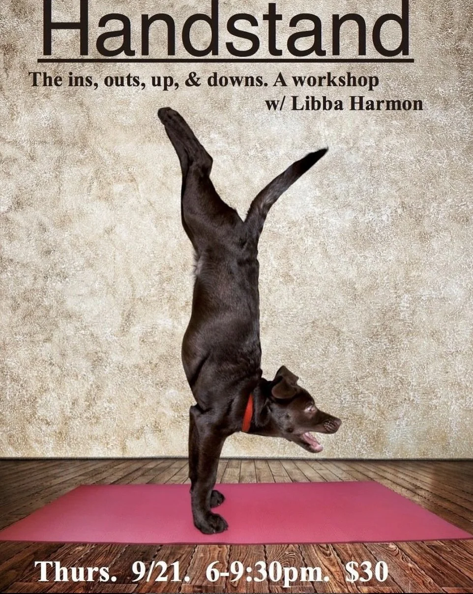 handstand workshop.jpg