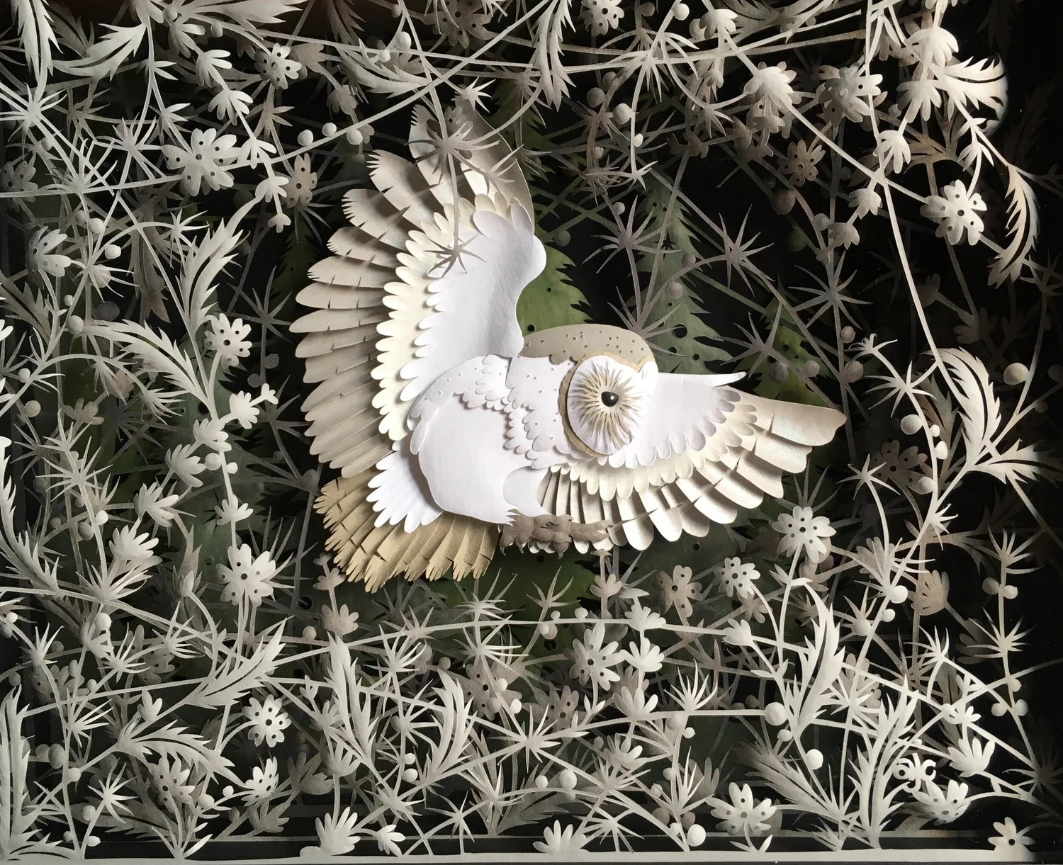 Paper cutting art Gallery — ANNA COOK PAPERART