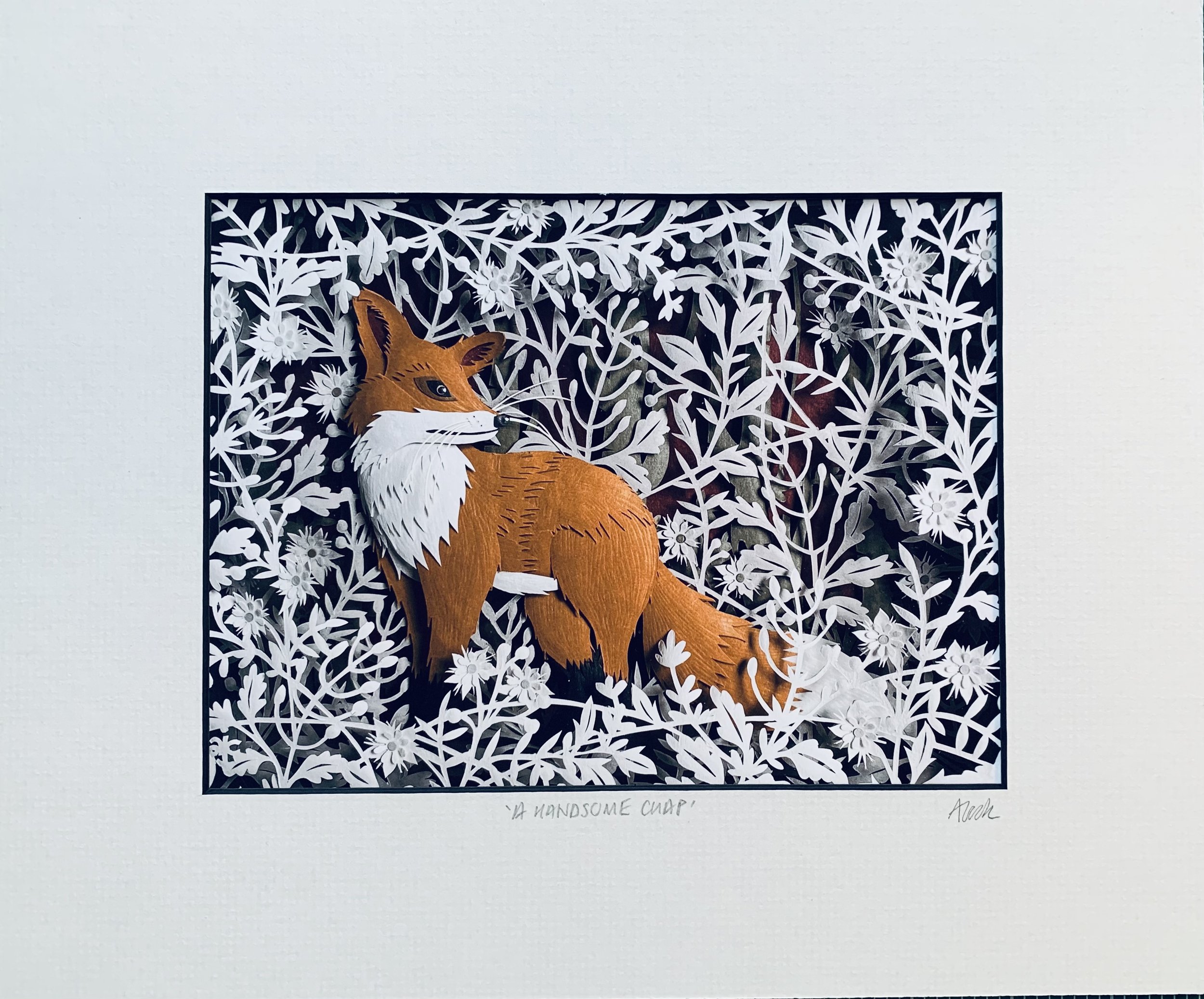 A HANDSOME CHAP - Fox