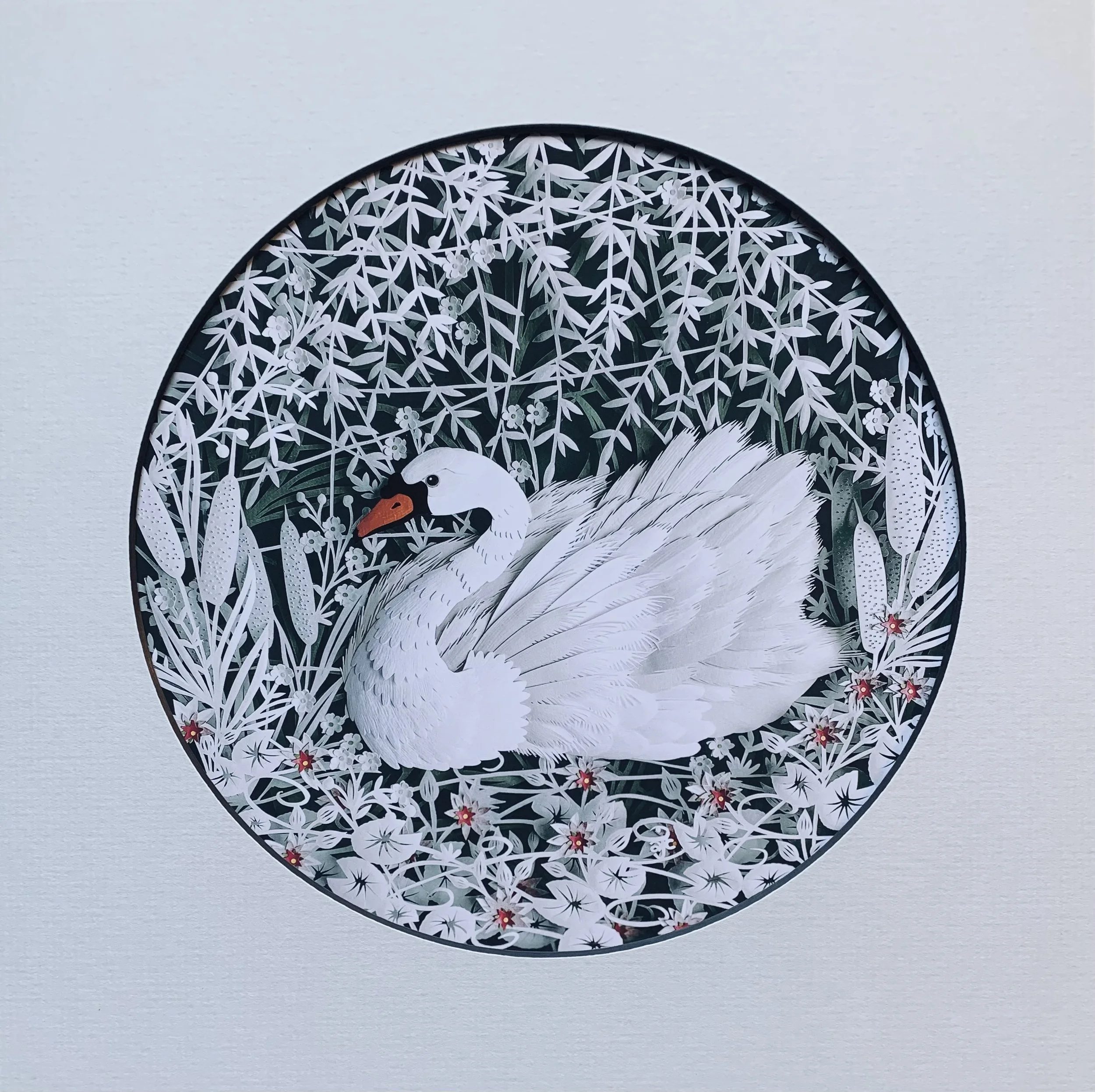 A MOMENT OF CALM - Swan